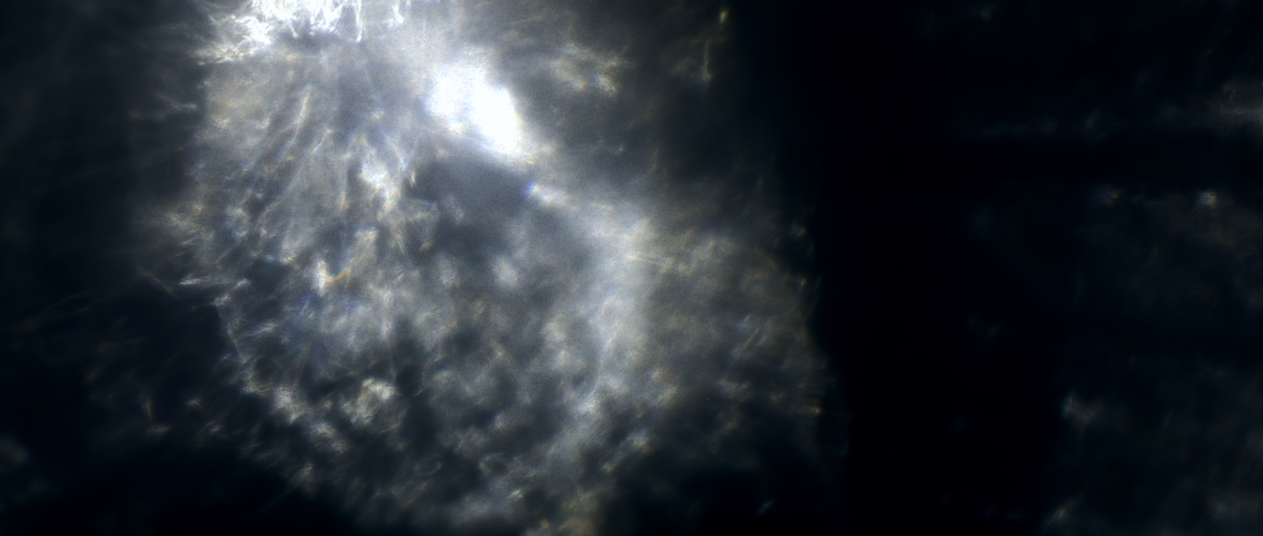 "The Abyss" directed by C.A. Cooper (Chris Cooper) and Virag Pazmany.