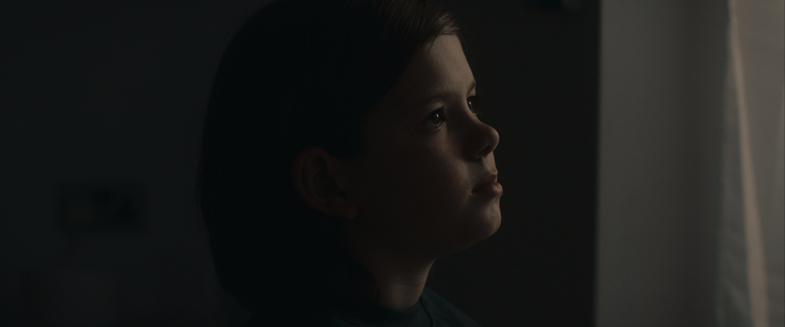 "The Black Silence" directed by C.A. Cooper (Chris Cooper). Featuring Harrison Britton.