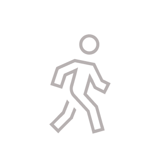 Icon of a person walking.