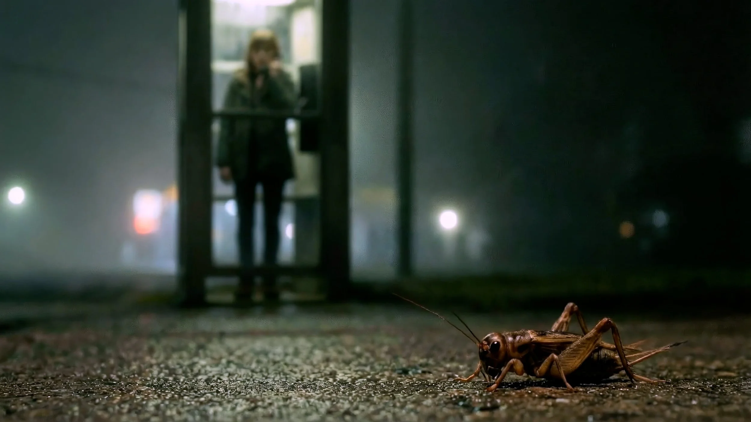 Normall CUT v5 022526_SR .00_02_02_20.Still007.jpg