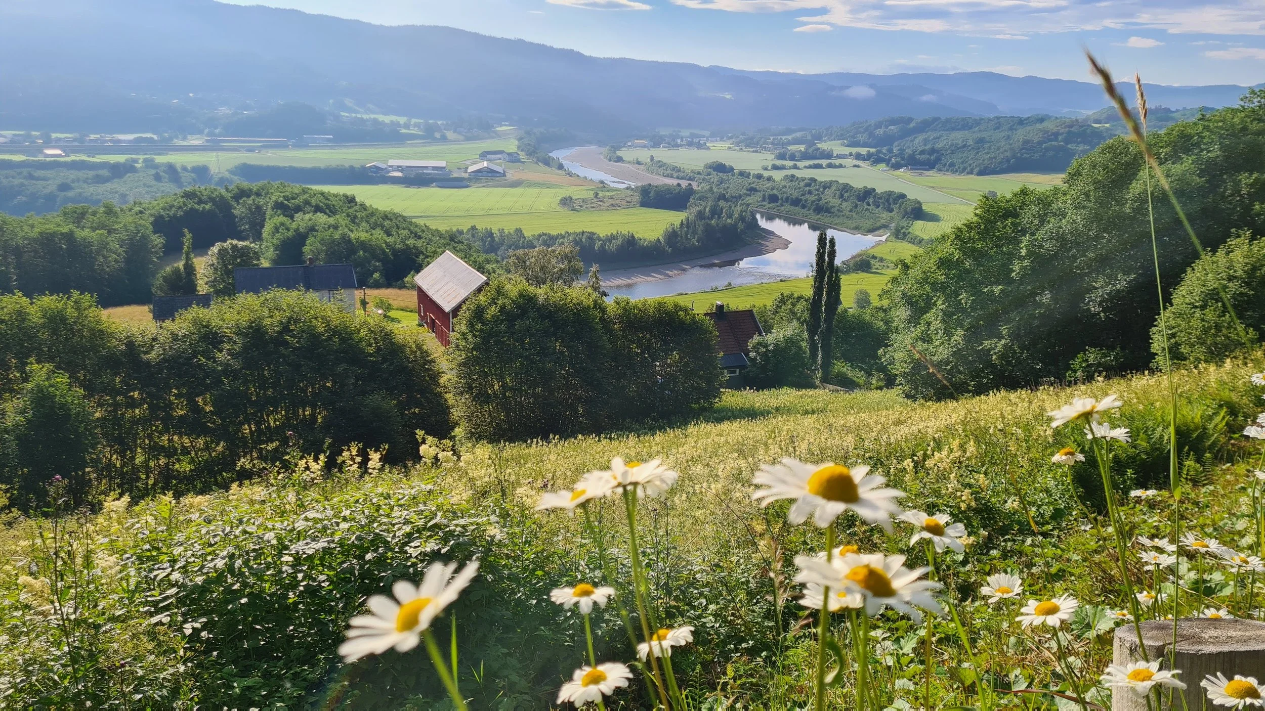 Foto: Melhus kommune/Lars Erik Sira