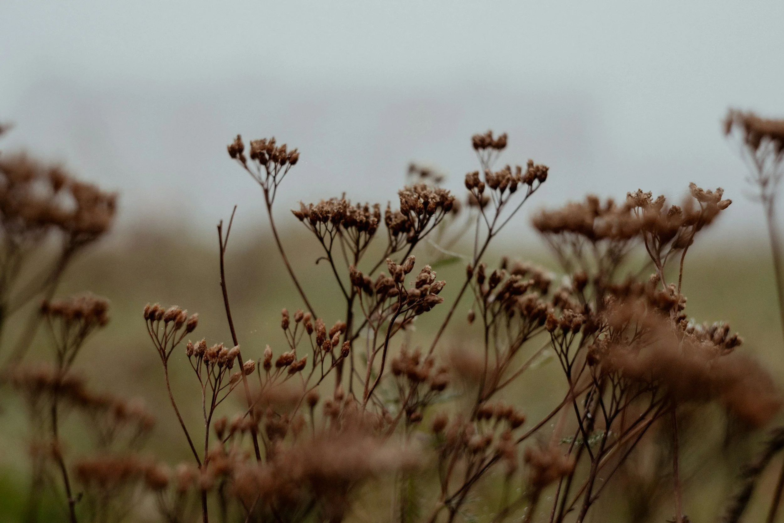 The tests I sometimes use in clinic - and why they’re not always the first step