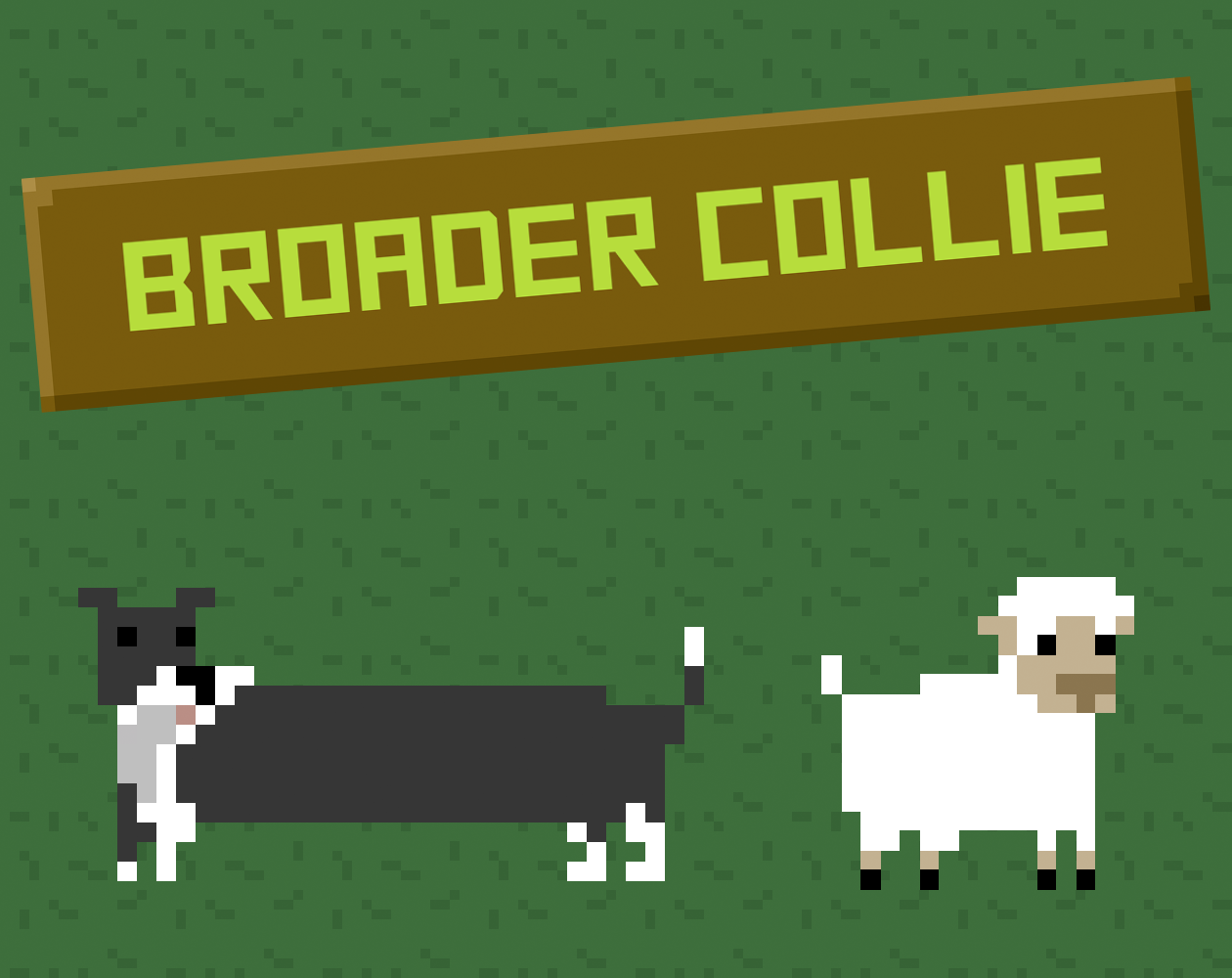 Broader-Collie-Cover.png