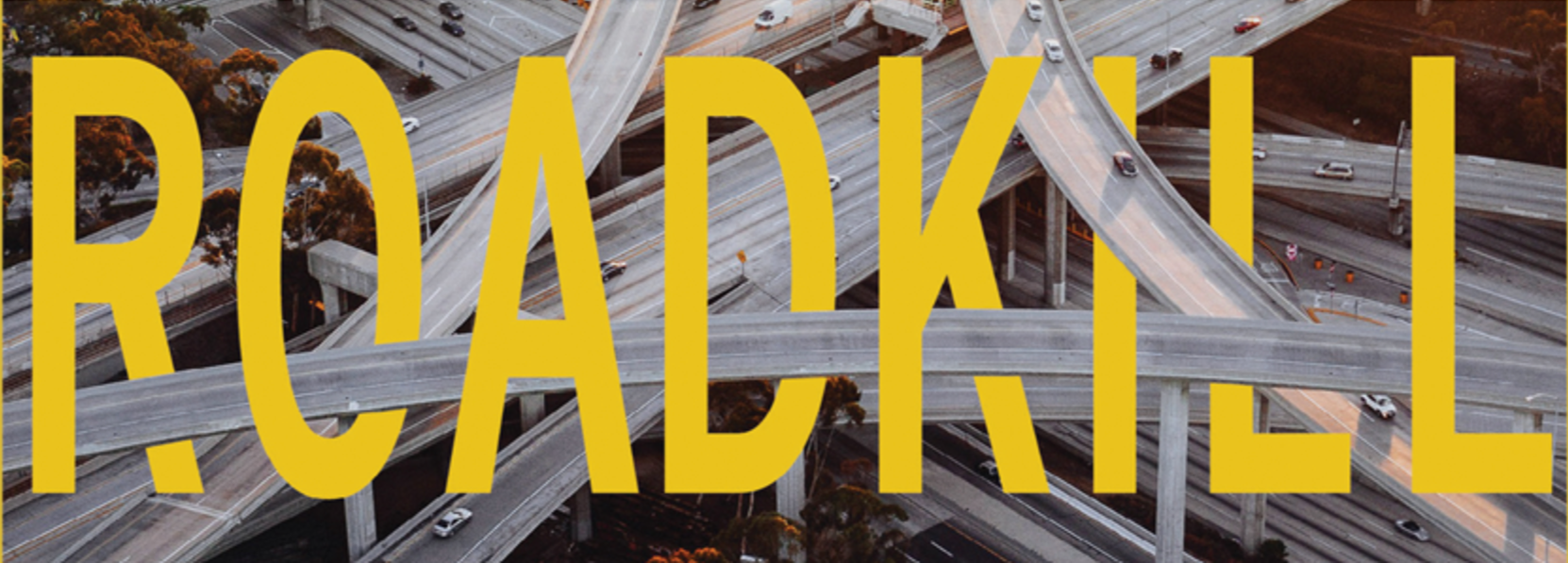 Roadkill: Unveiling the True Cost of Our Toxic Relationship with Cars
