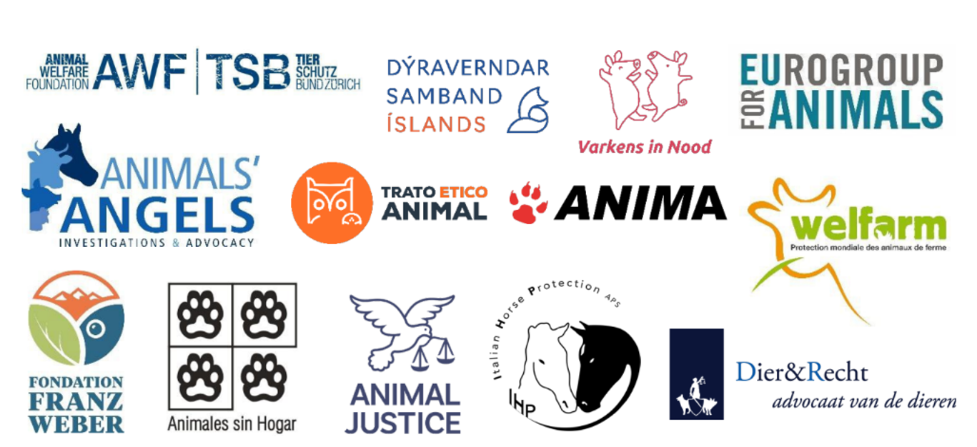 Bréf til framkvæmdastjórnar ESB: Bannið PMSG til að stöðva þjáningar blóðmera