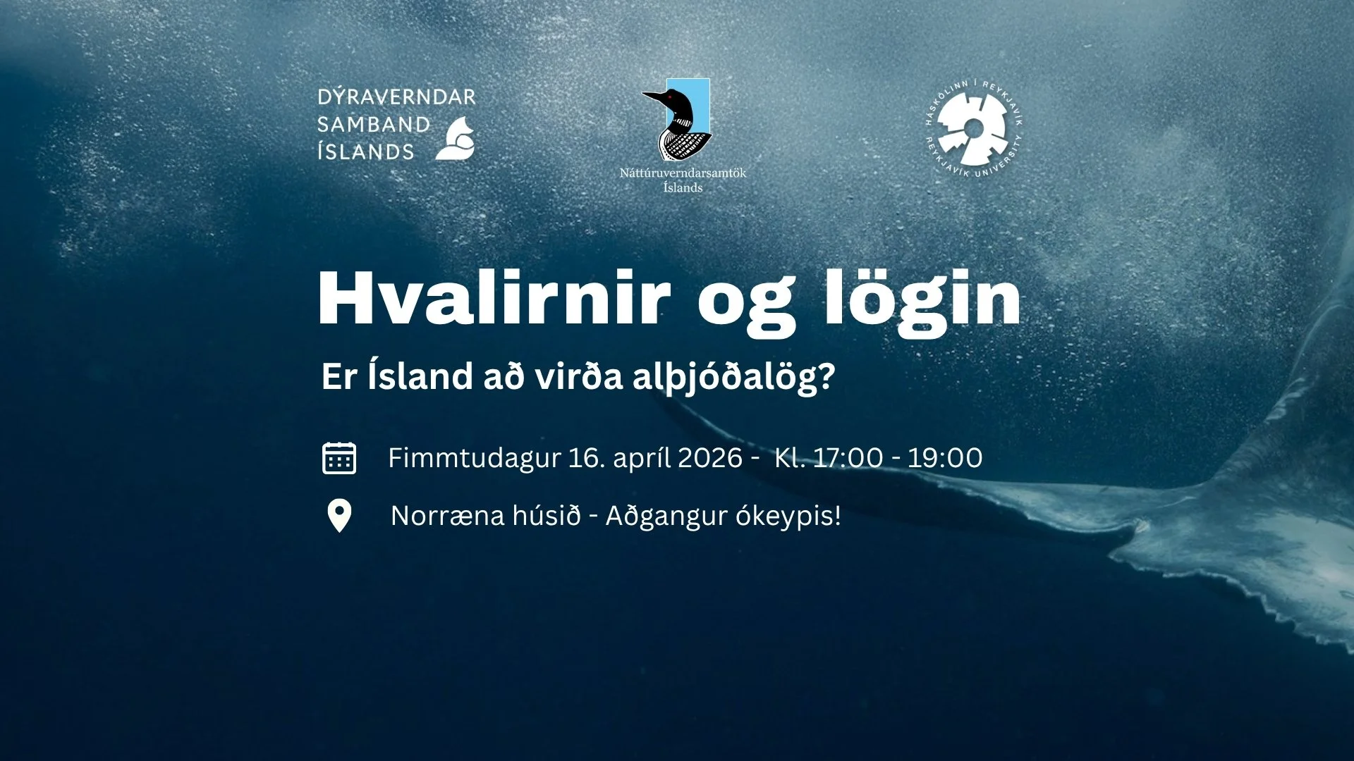 Hvalirnir og lögin - málþing
