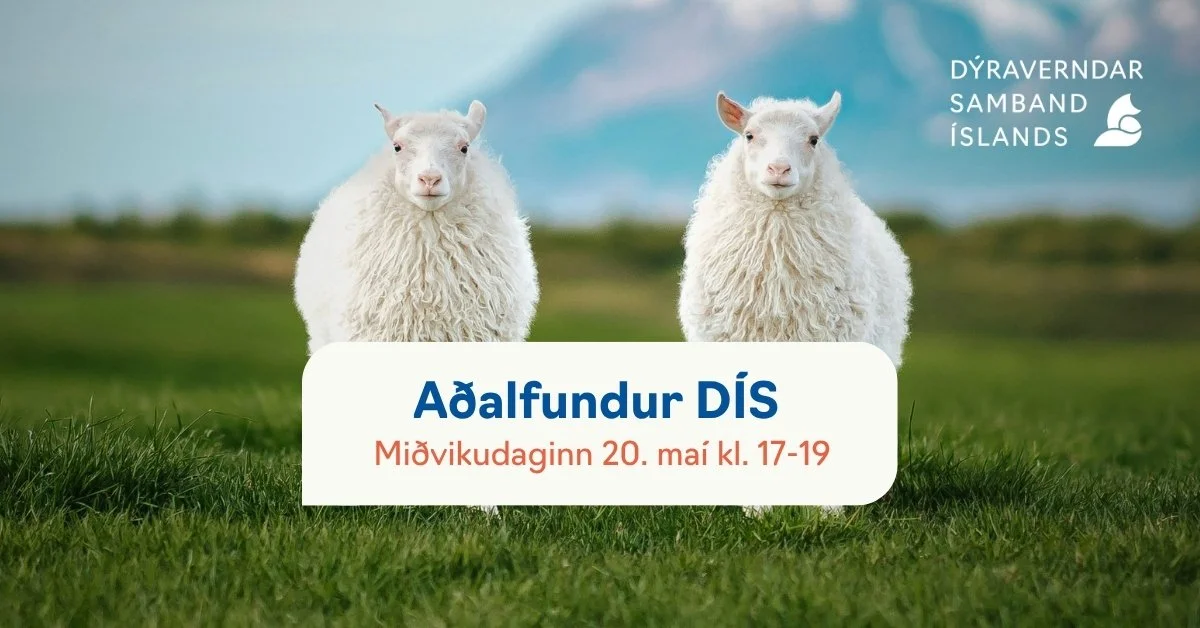 Aðalfundur DÍS verður þann 20. maí