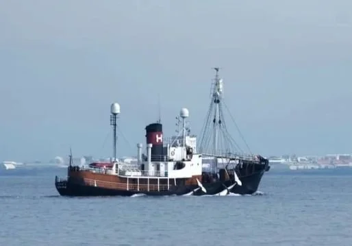 Enginn markaður fyrir hvalkjöt undirstrikar tilgangsleysi veiðanna