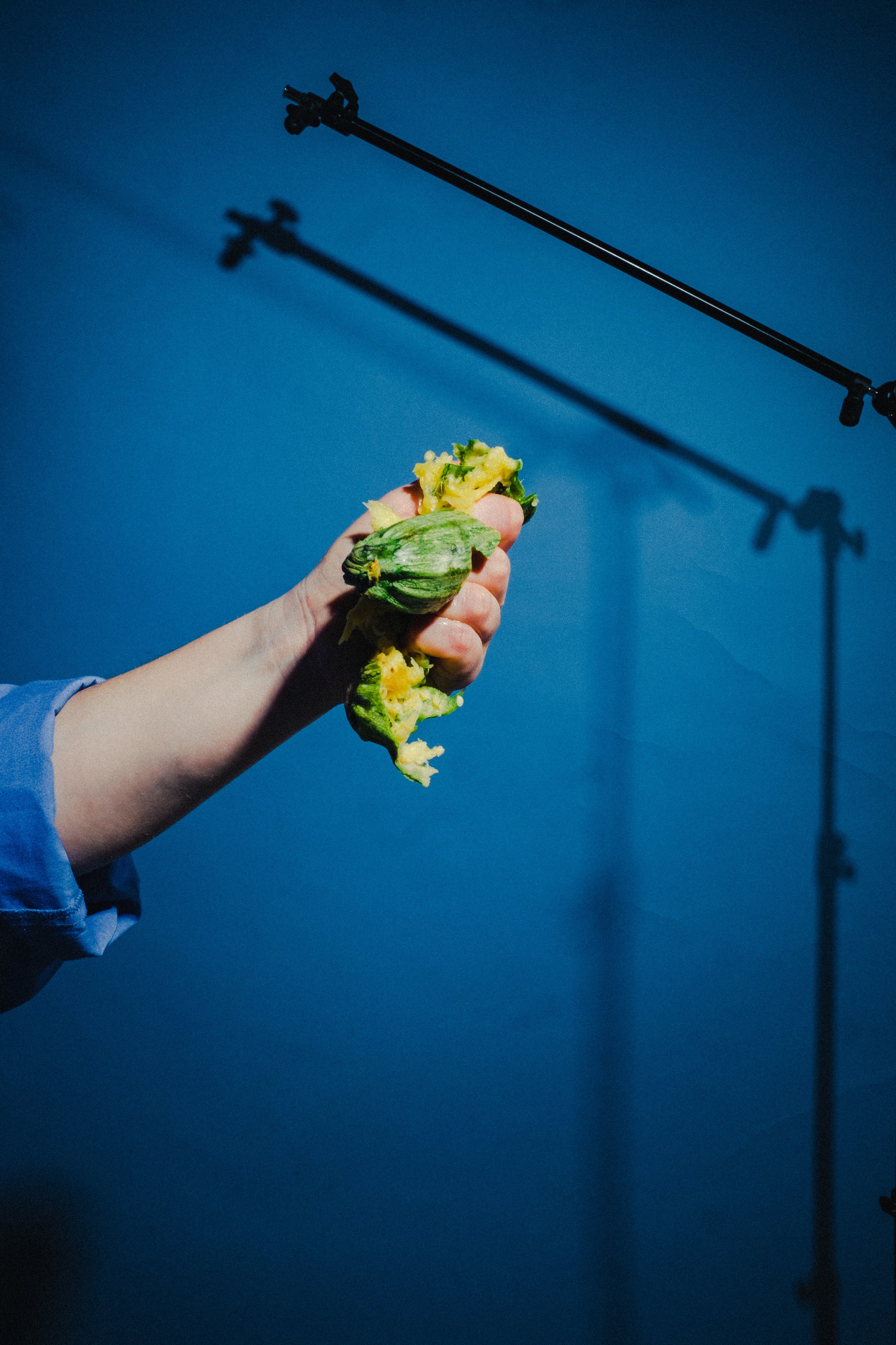 A hand holding a piece of green vegetable in front of a blue background with studio lighting equipment shadows.
