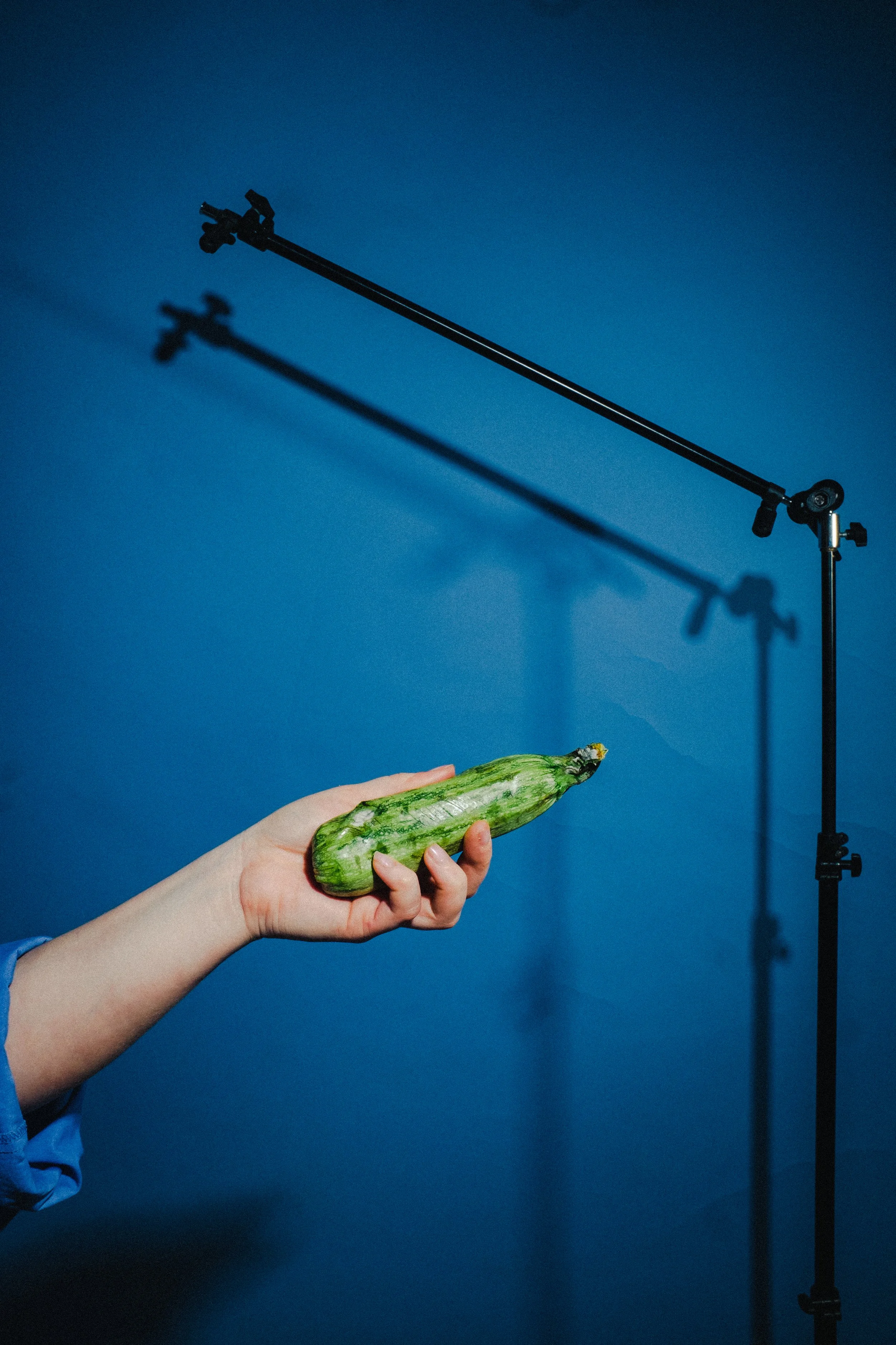 A person's hand holding a green zucchini in front of a blue wall, with a studio light stand and its shadow in the background.