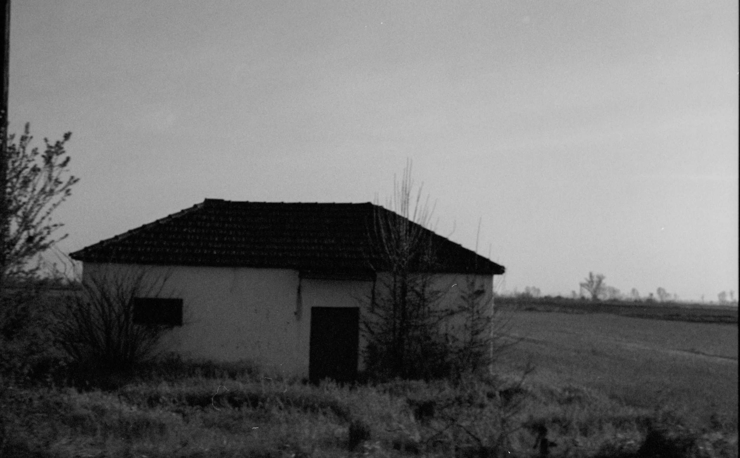 A black and white photo of an old, abandoned house in a rural area, surrounded by overgrown bushes and fields, under a cloudy sky.
