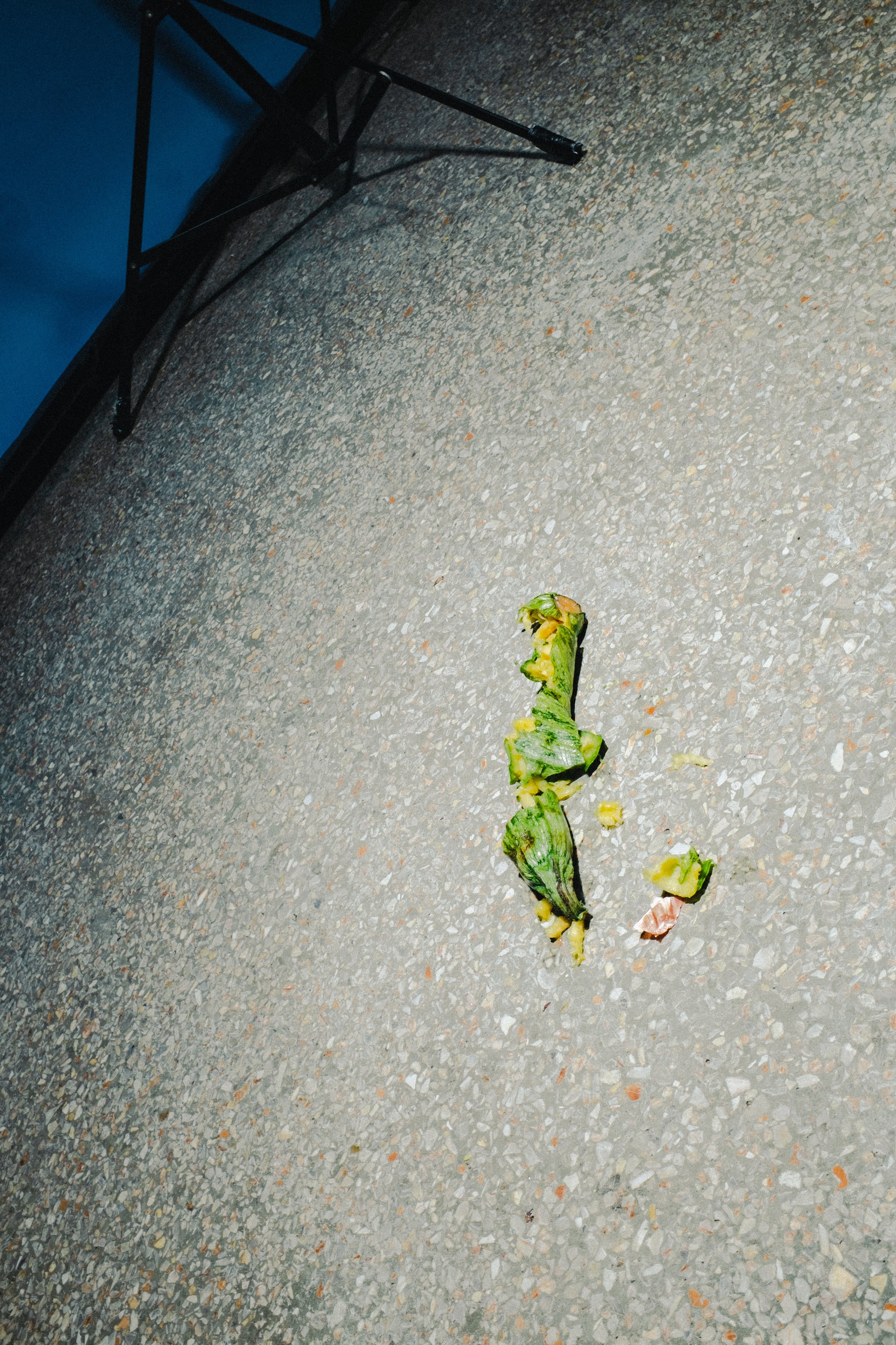 A pile of partially eaten lettuce wast on a gray textured floor in a room, with a blue wall and black metal furniture leg in the background.