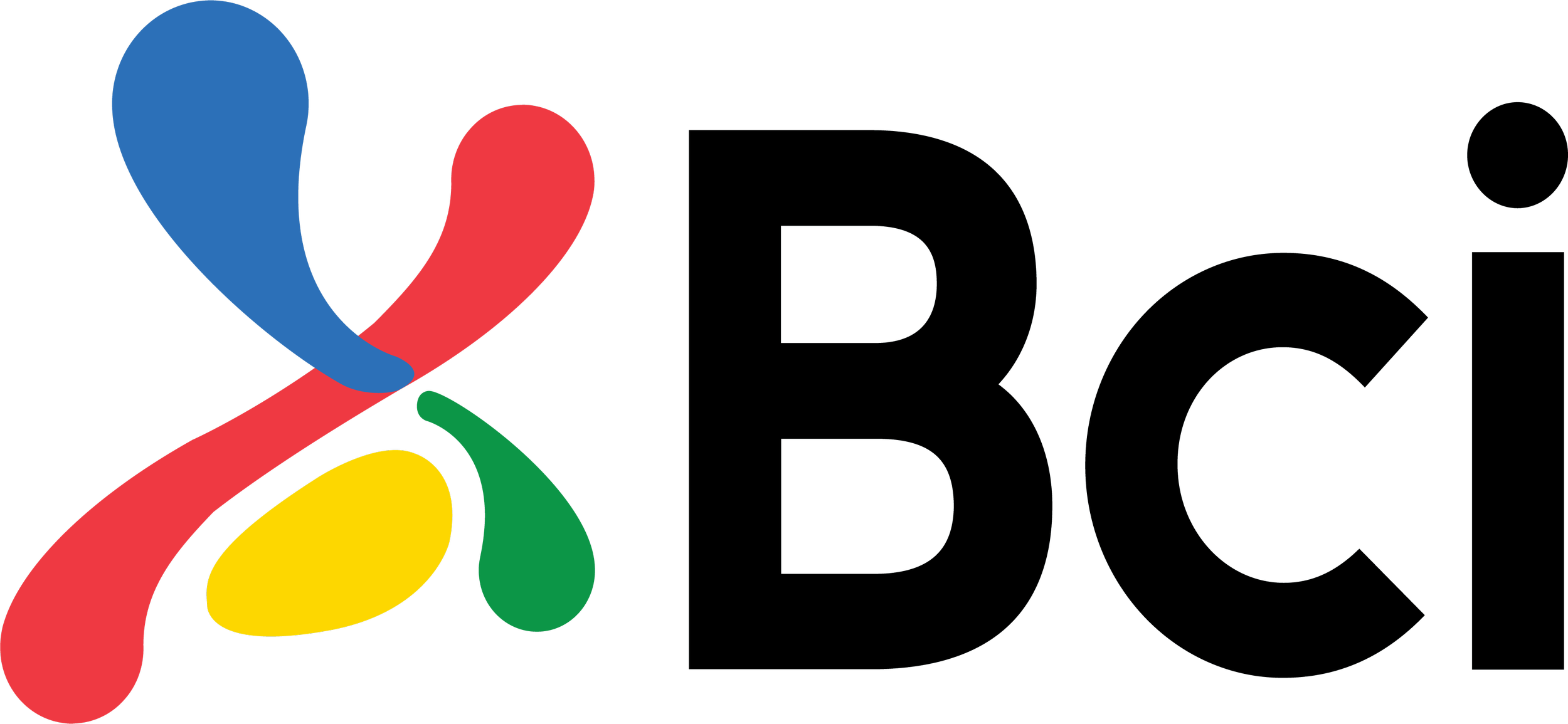 bci.png