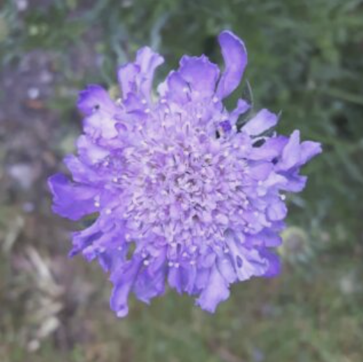 Screenshot 2026-02-16 at 15.47.31.png