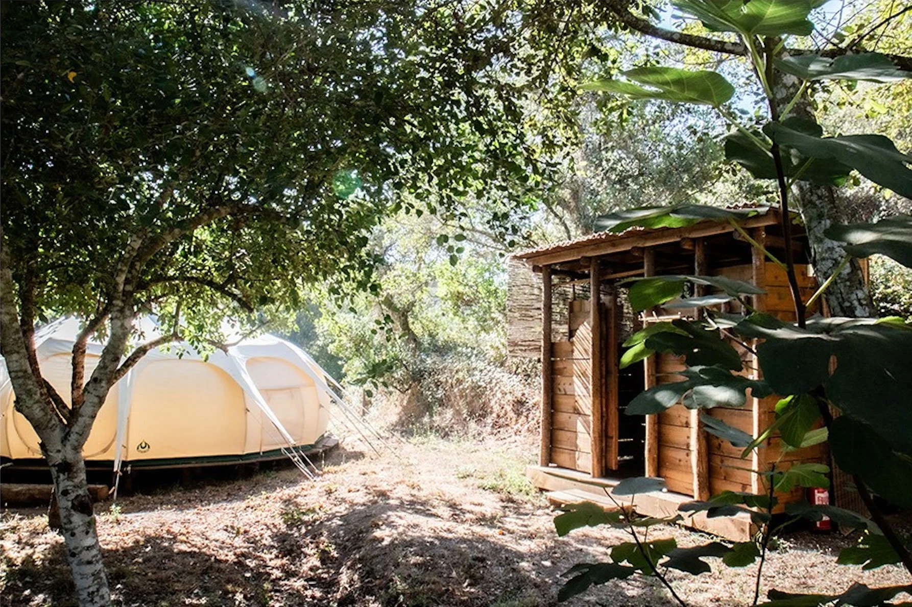 18 Lotus Tent.jpg