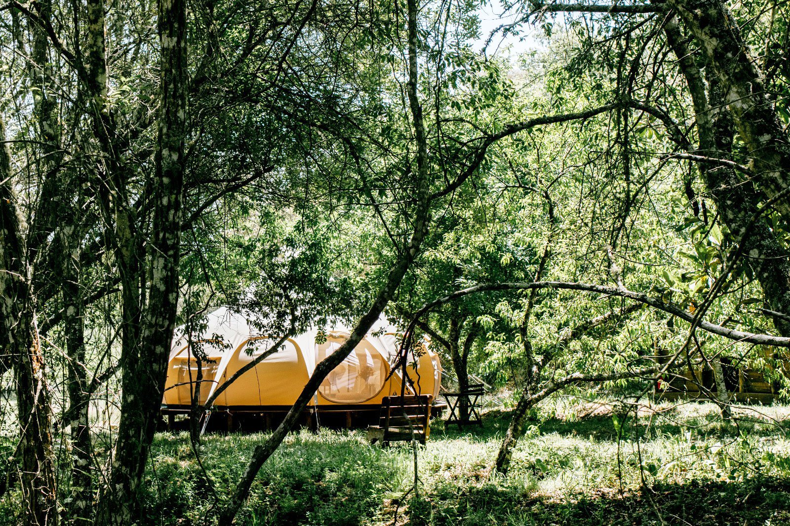 11 Lotus Tent.jpg
