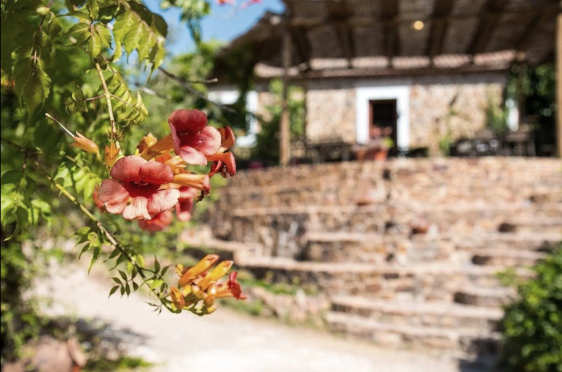 11 Orada Terrace.jpg