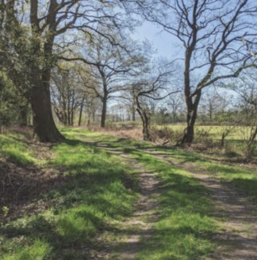 Screenshot 2026-02-16 at 15.47.39.png