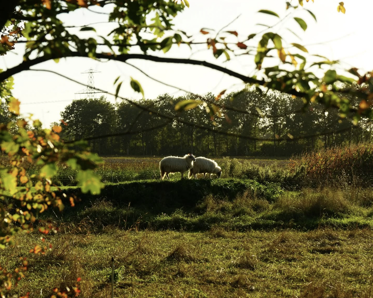 Screenshot 2026-02-16 at 15.45.03.png