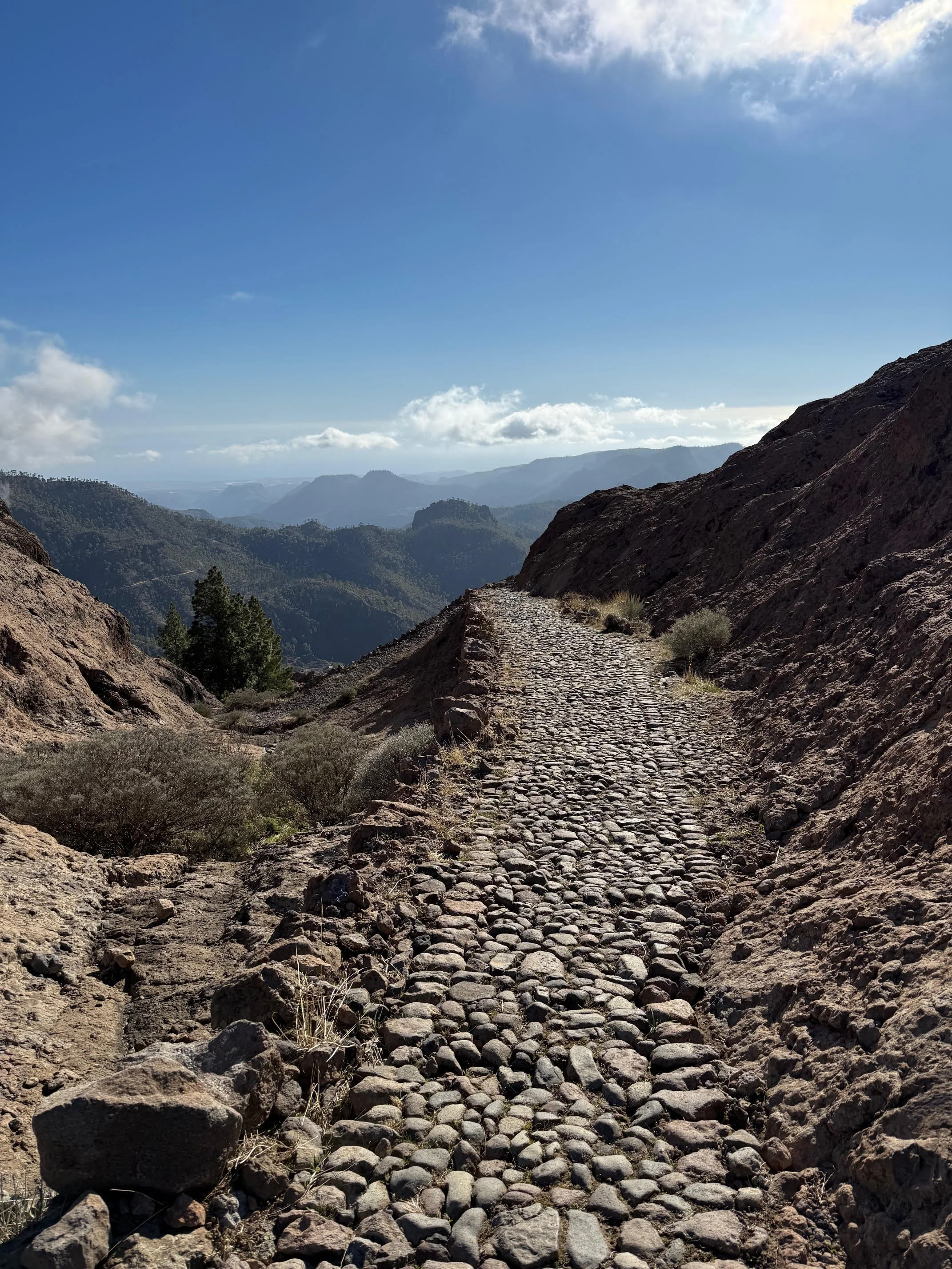 Momentum – in Bewegung kommen. Und bleiben.