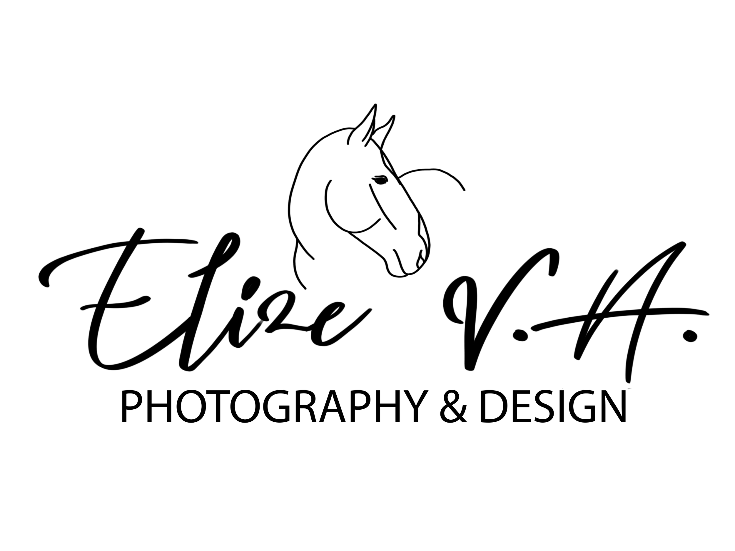 Logo elizeva Zwart.png