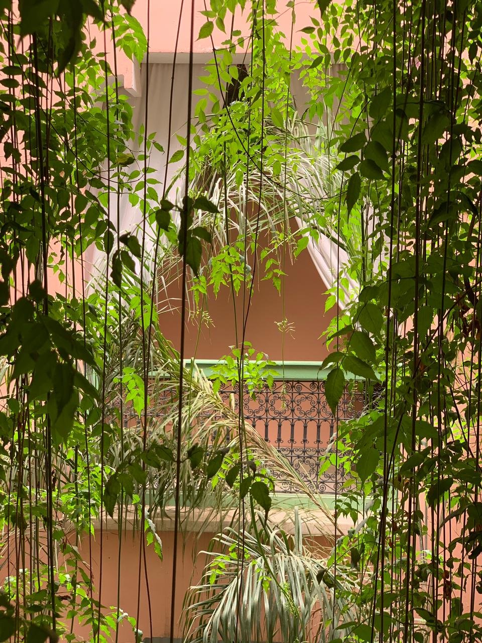 riad-bohemian-jungle-marrakech-notstandard3.jpg