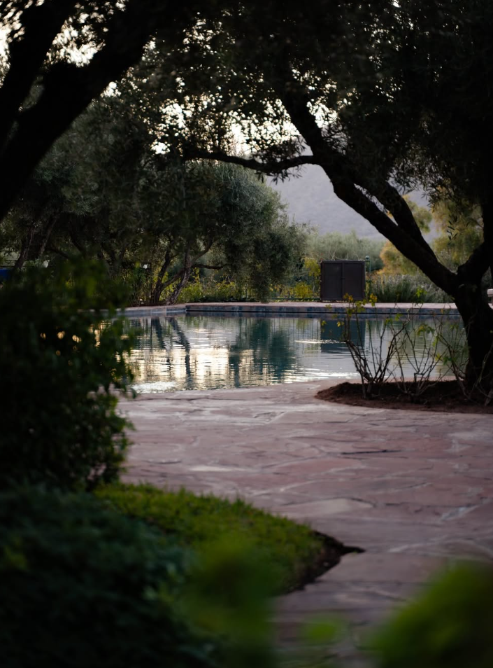 olinto-atlas-mountain-retreat-adults-only-ouirgane-discover-marrakech-3.jpg.png