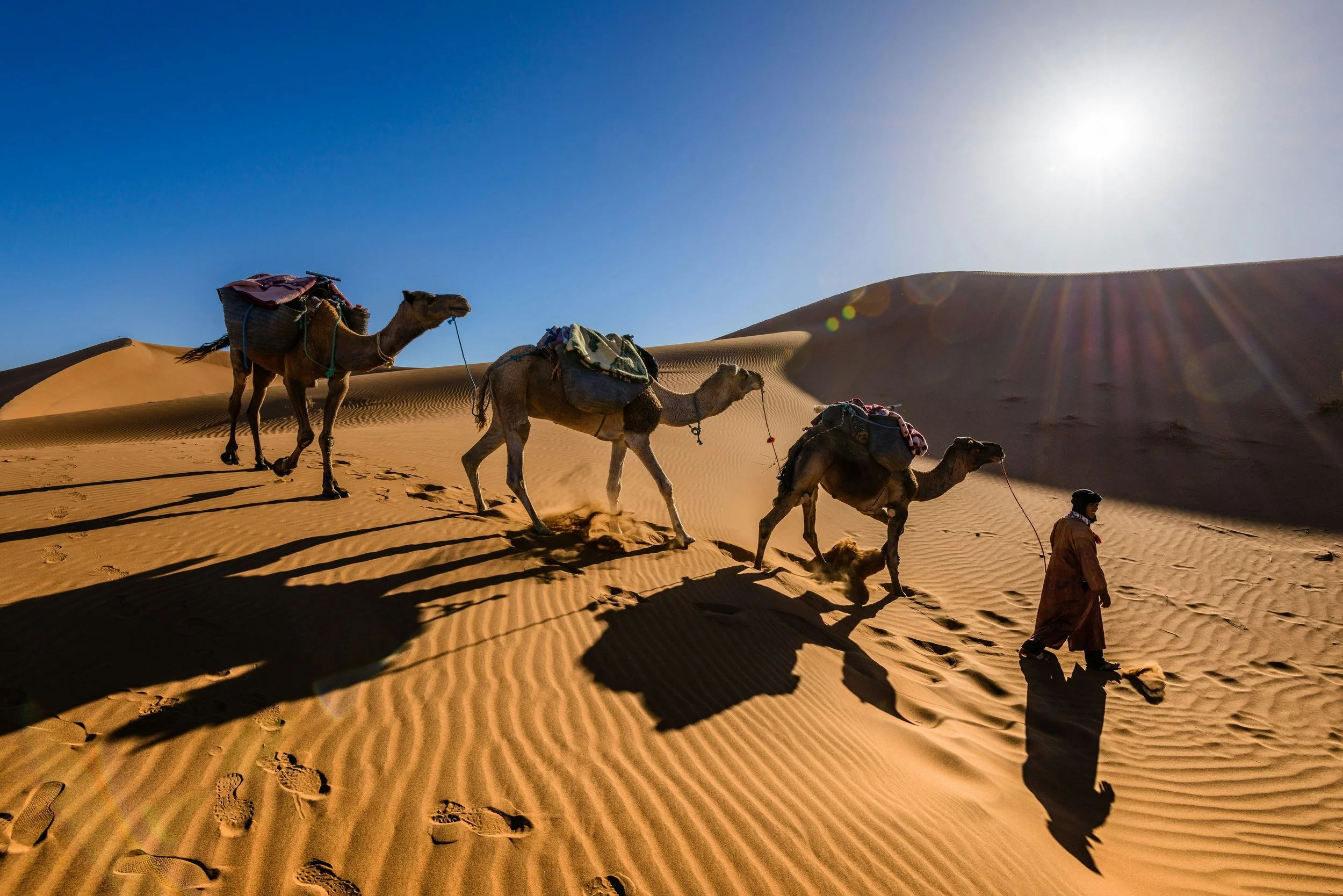 A man leading a caravan of three camels carrying supplies across a desert with sand dunes and a bright sun overhead.