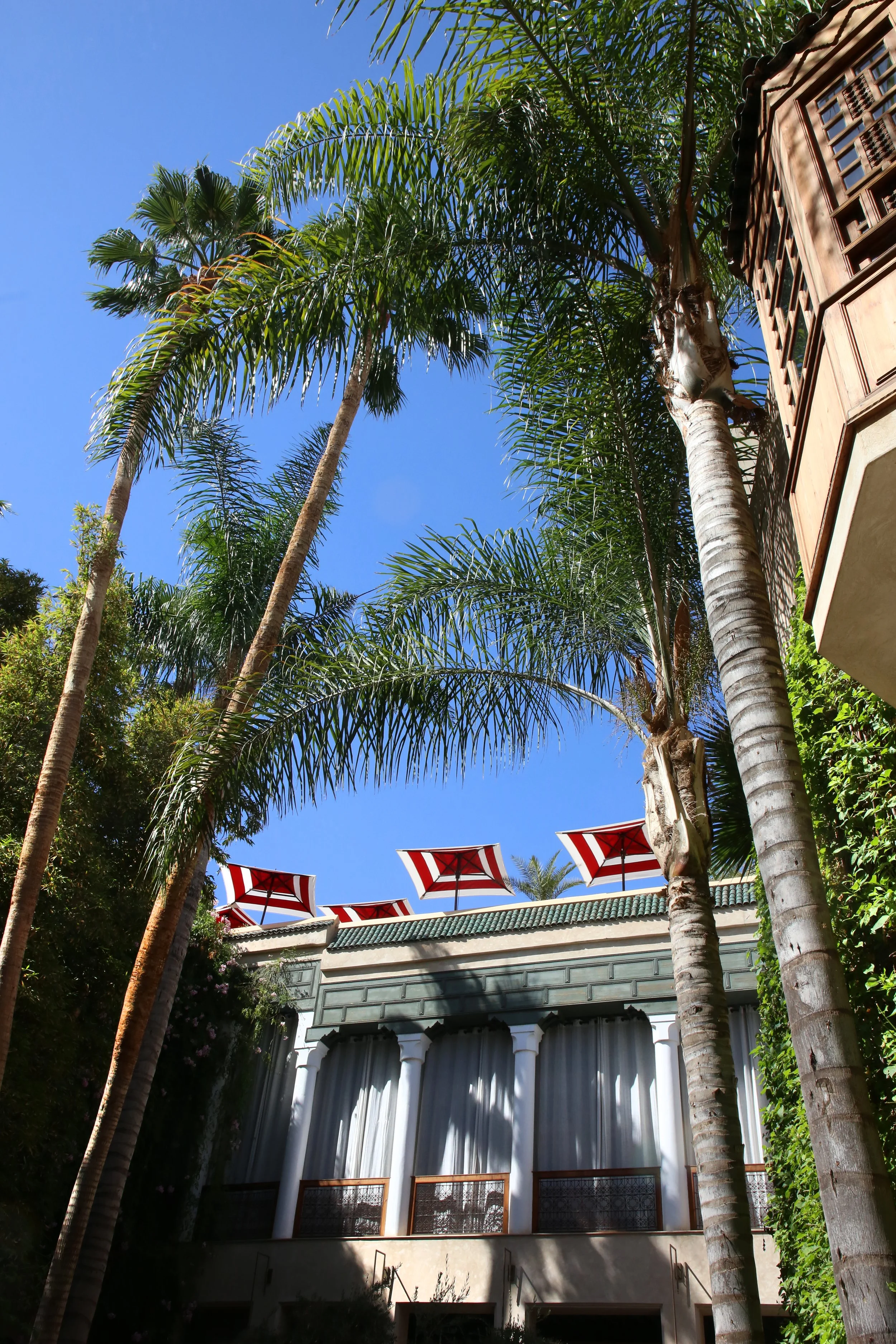 (c) Cecile Treal -  El Fenn Colonnade.JPG