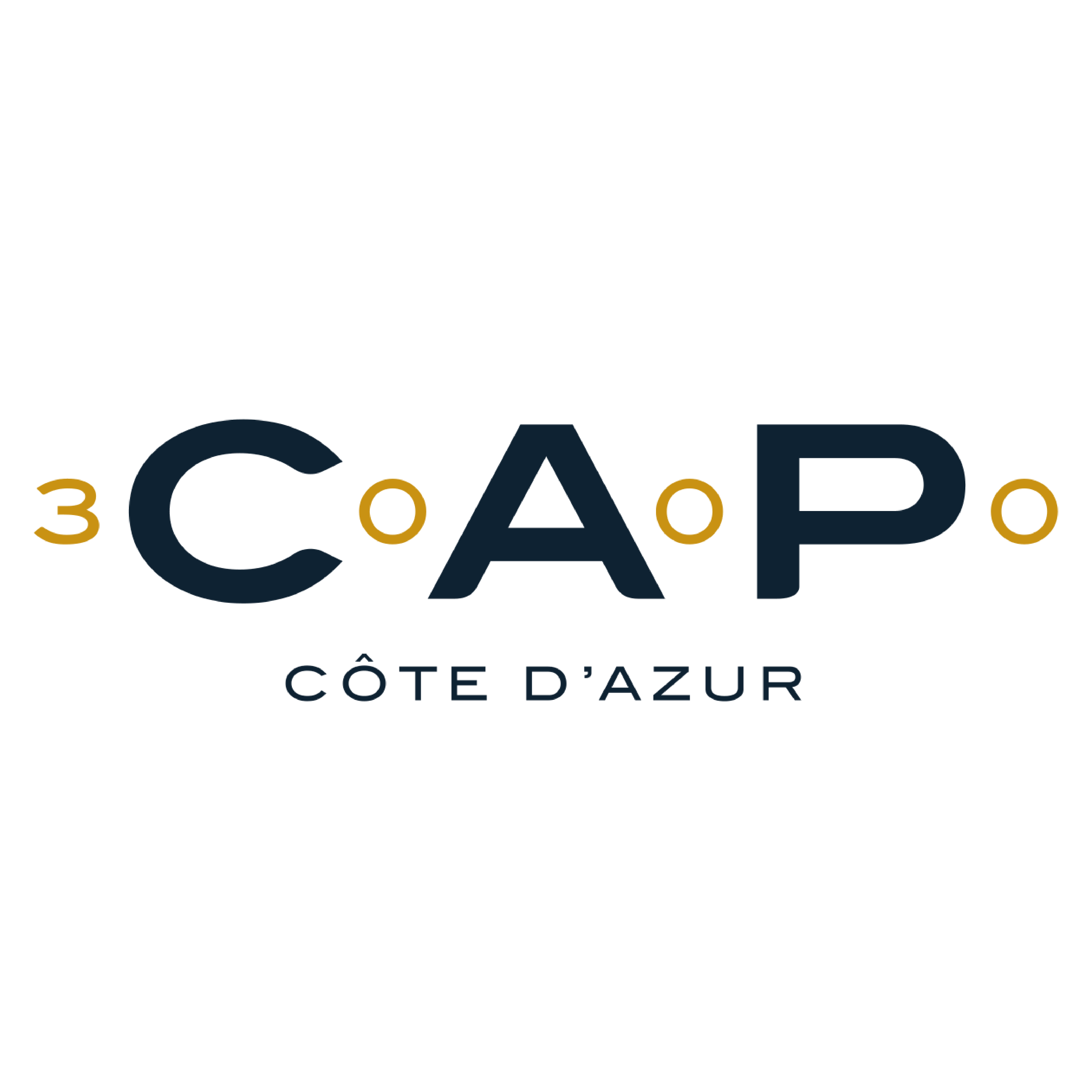 logo cap 3000-09.png