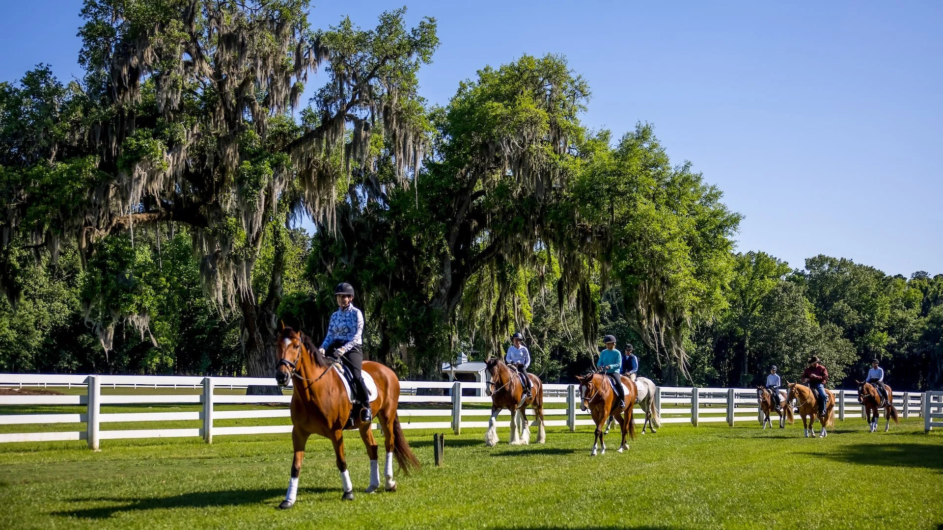 Exploring the Equestrian Lifestyle in Richmond Hill