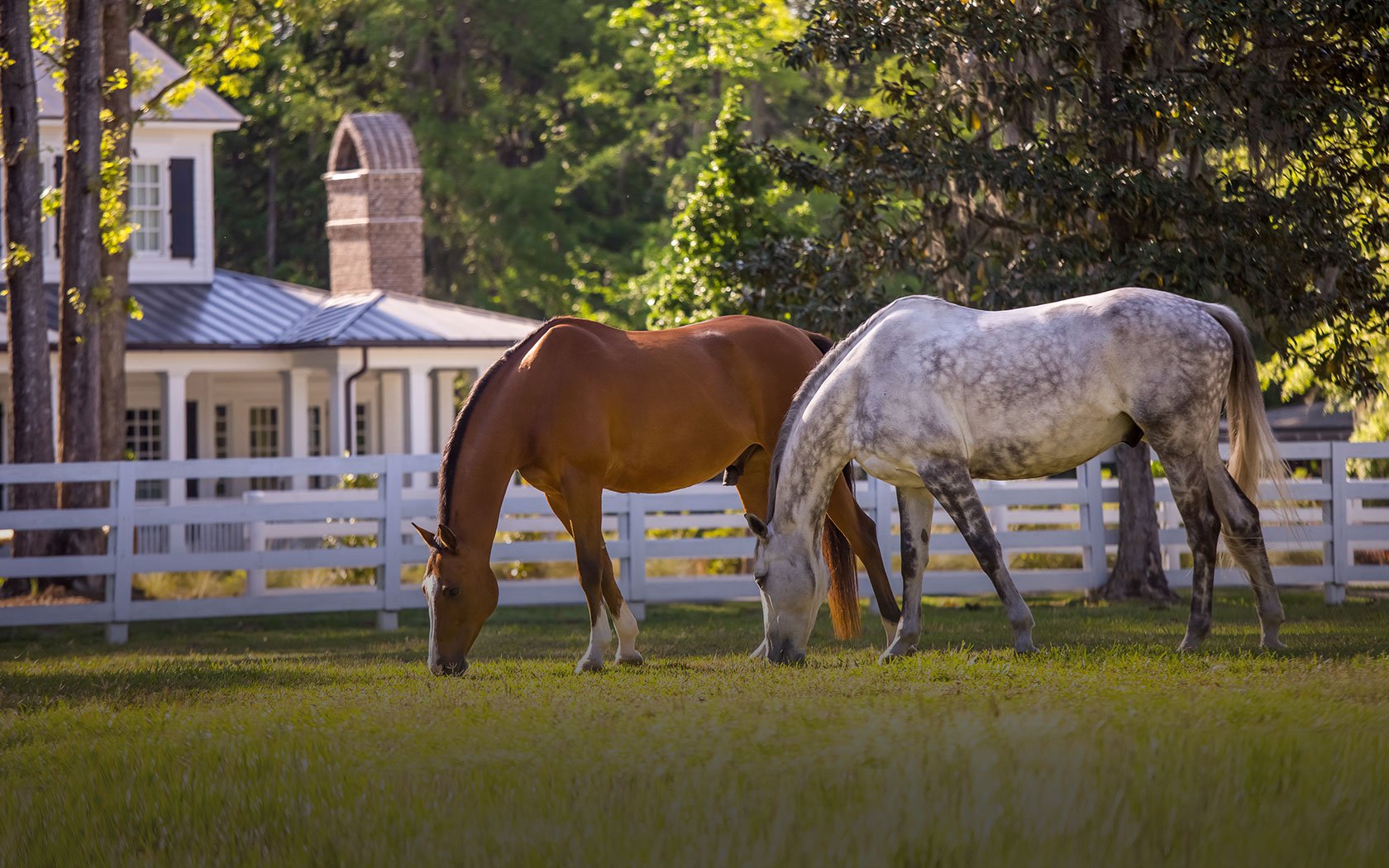 pursuits-land-field-more-grass.jpg