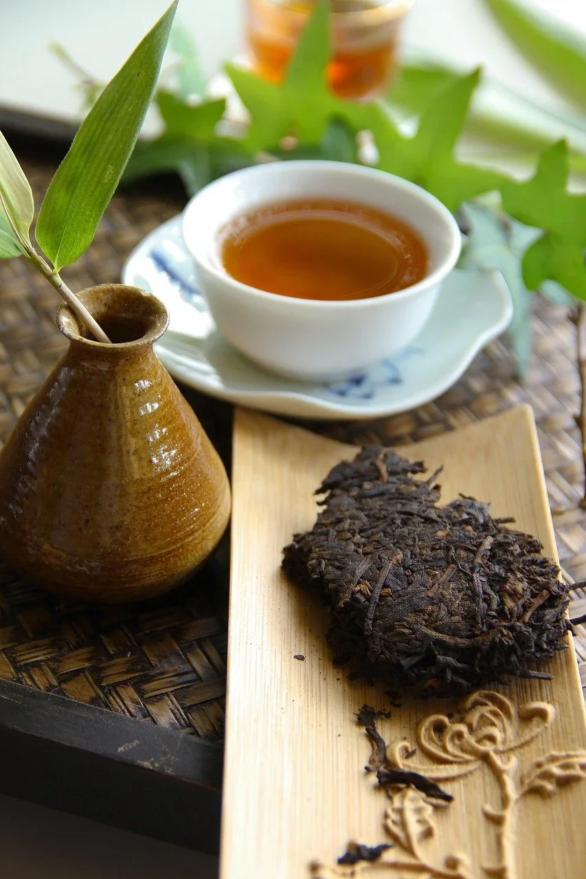 2022 Second Breakfast Puerh tea kokko wellness steaming cup.webp