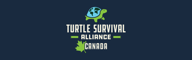 From Knowledge to Action: Advancing Turtle Conservation in Canada
