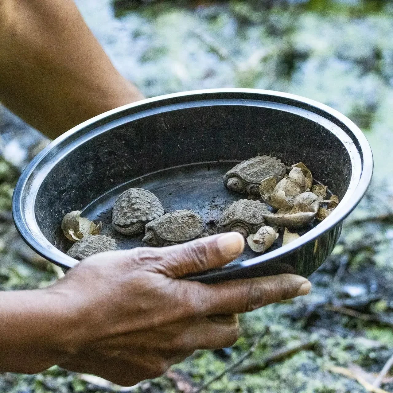 How to Sterilize Containers