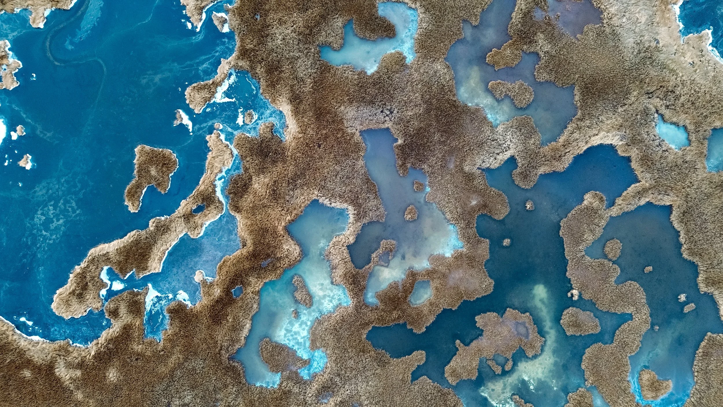 03842 - Salt Marsh