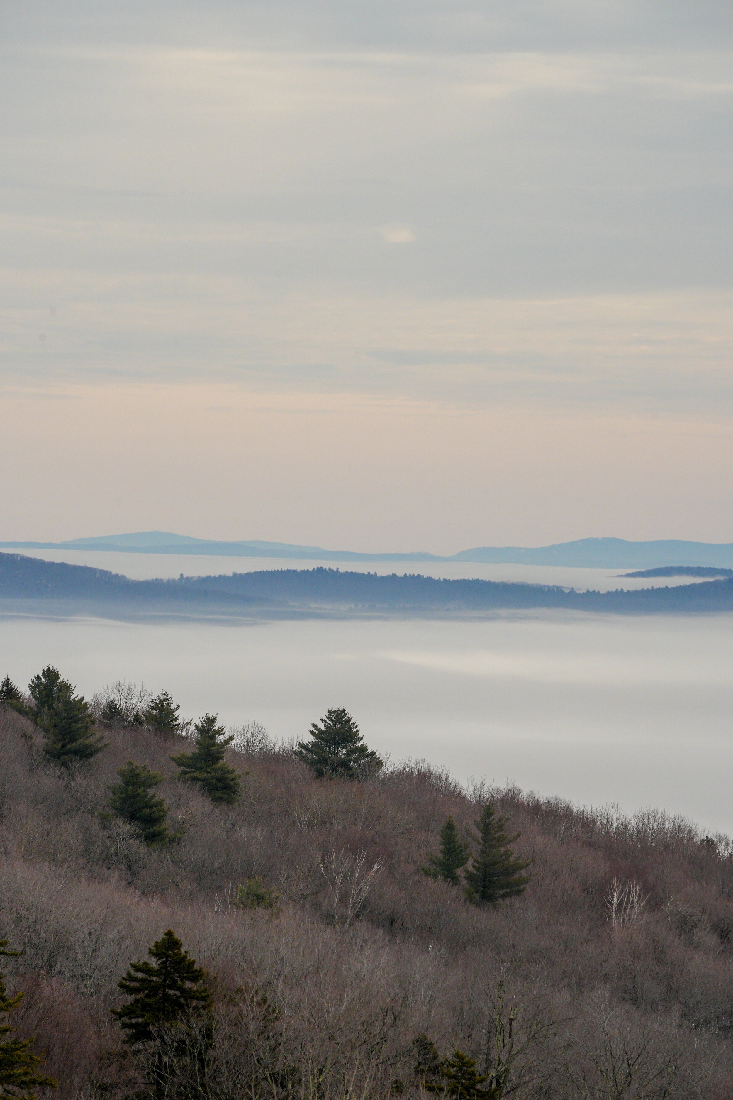 Morning Inversion 