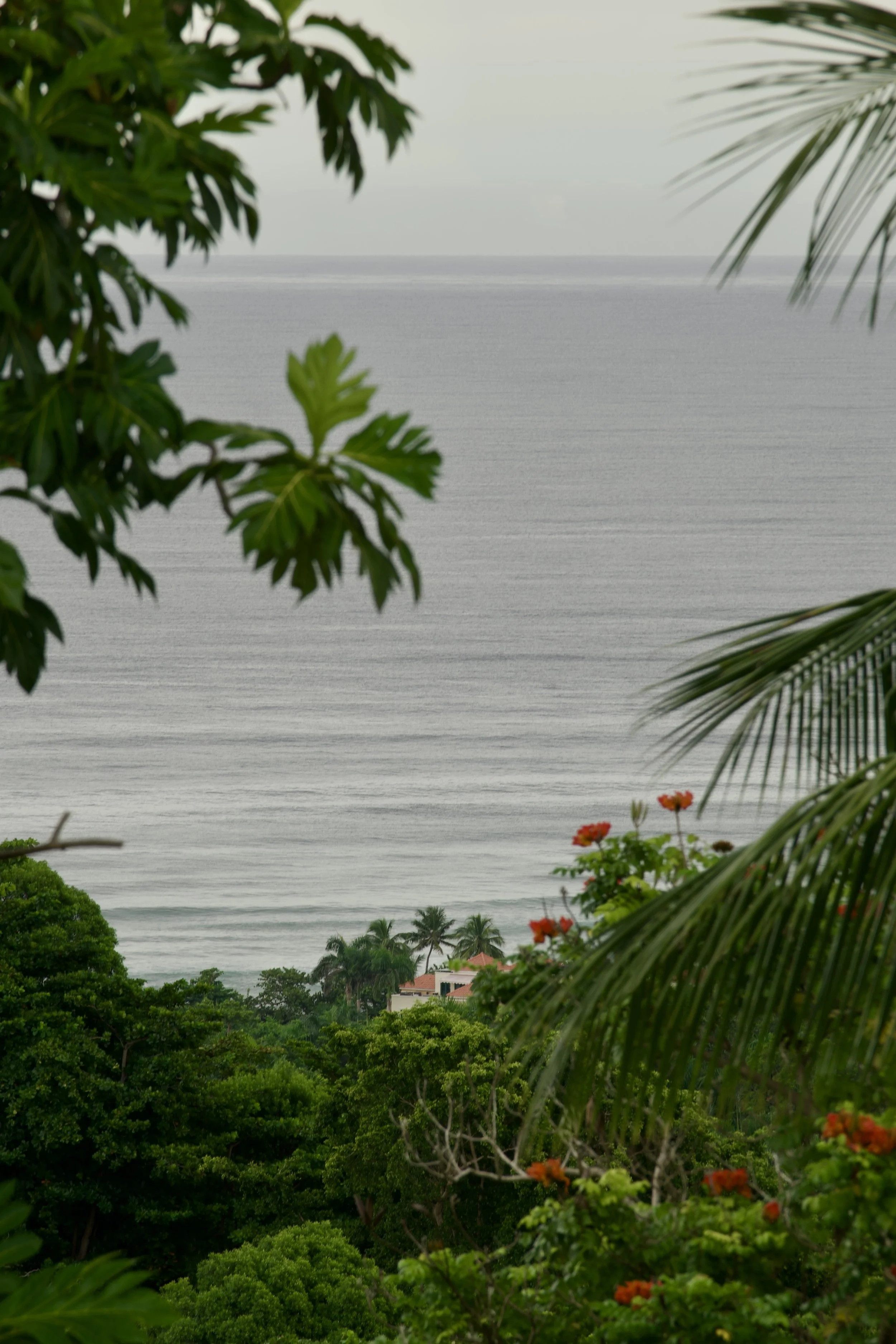 Rincon