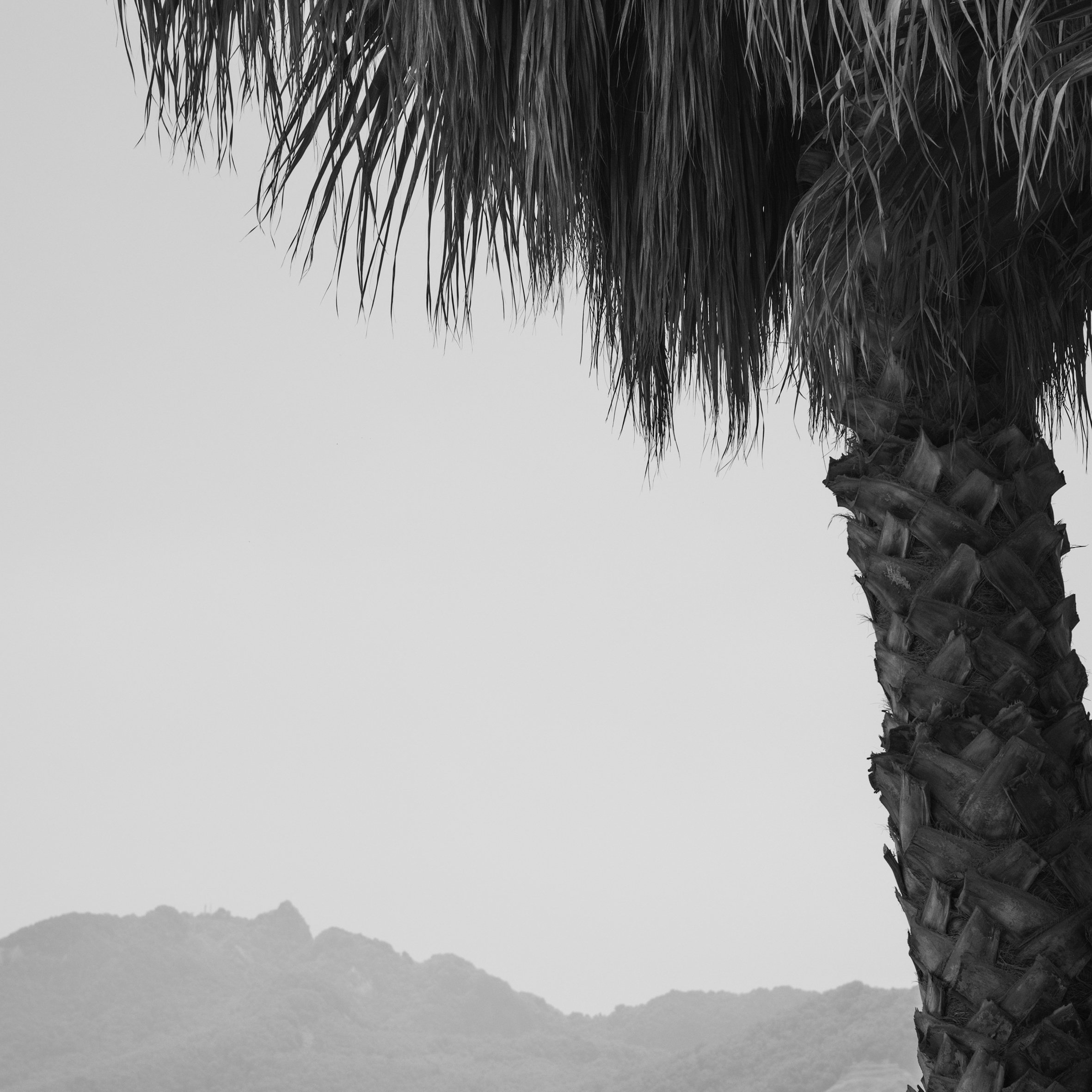 Fine art photography, interior decor, bespoke artwork, art curation, art consultant
