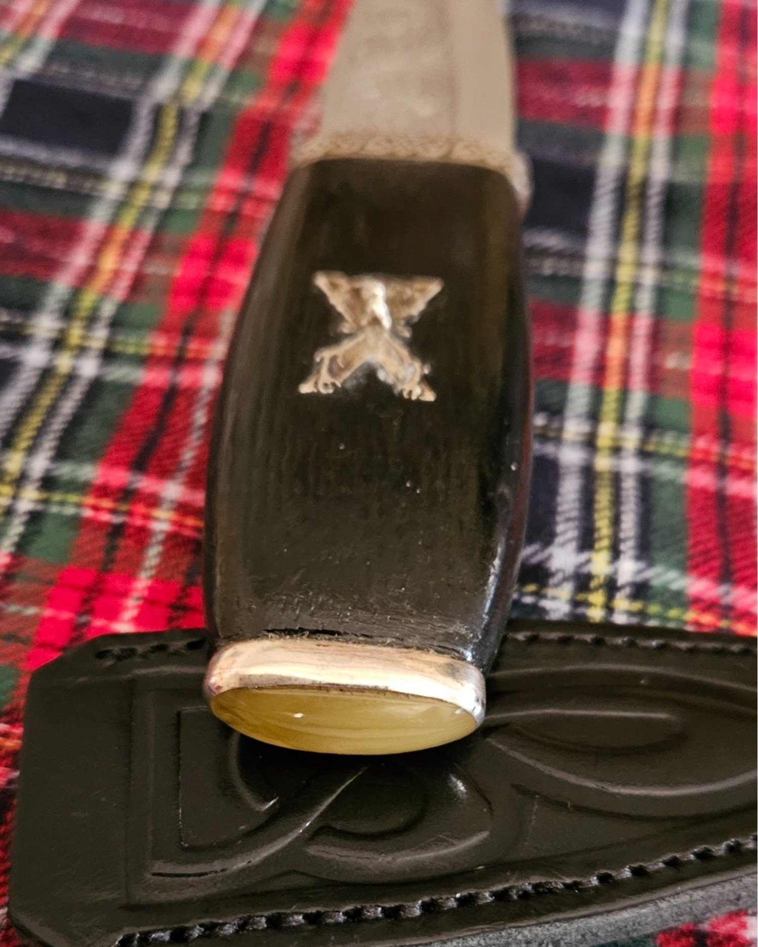 1.51+bog+oak.jpg
