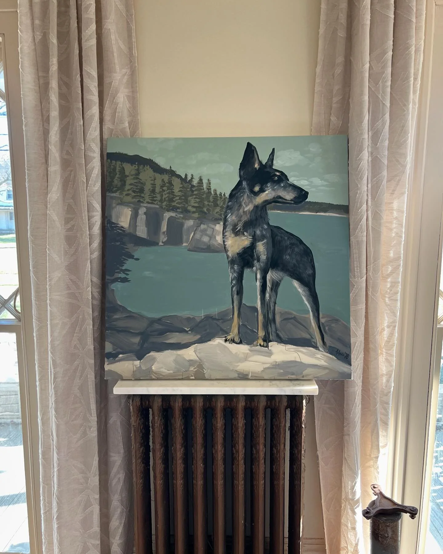 Odin in his favorite place

🖤 #dogpainting #dogportrait #dogportraits #petpainting