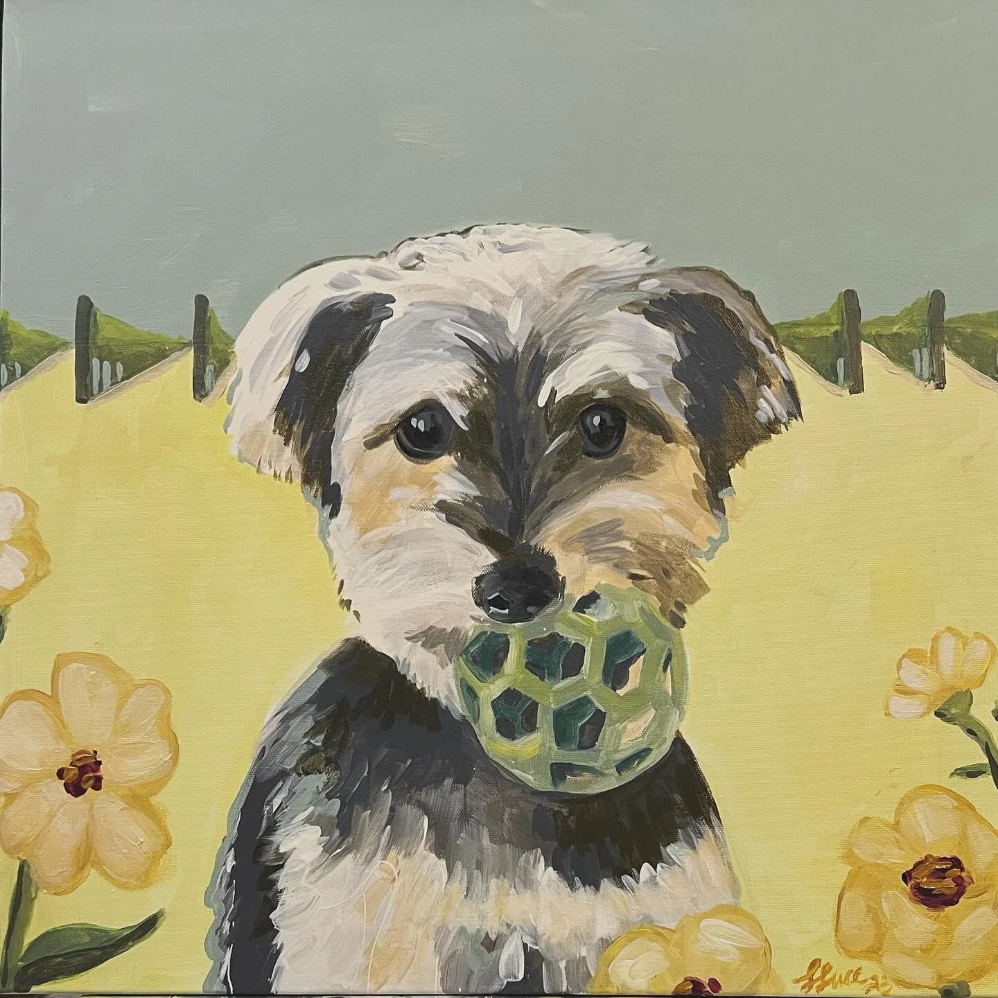 Benjamin &amp; his ball at Rose Hill Vineyard

#vineyardpainting #petportraits #petpaintings #dogpaintings #yorkiepoo #dogportrait #dogball
