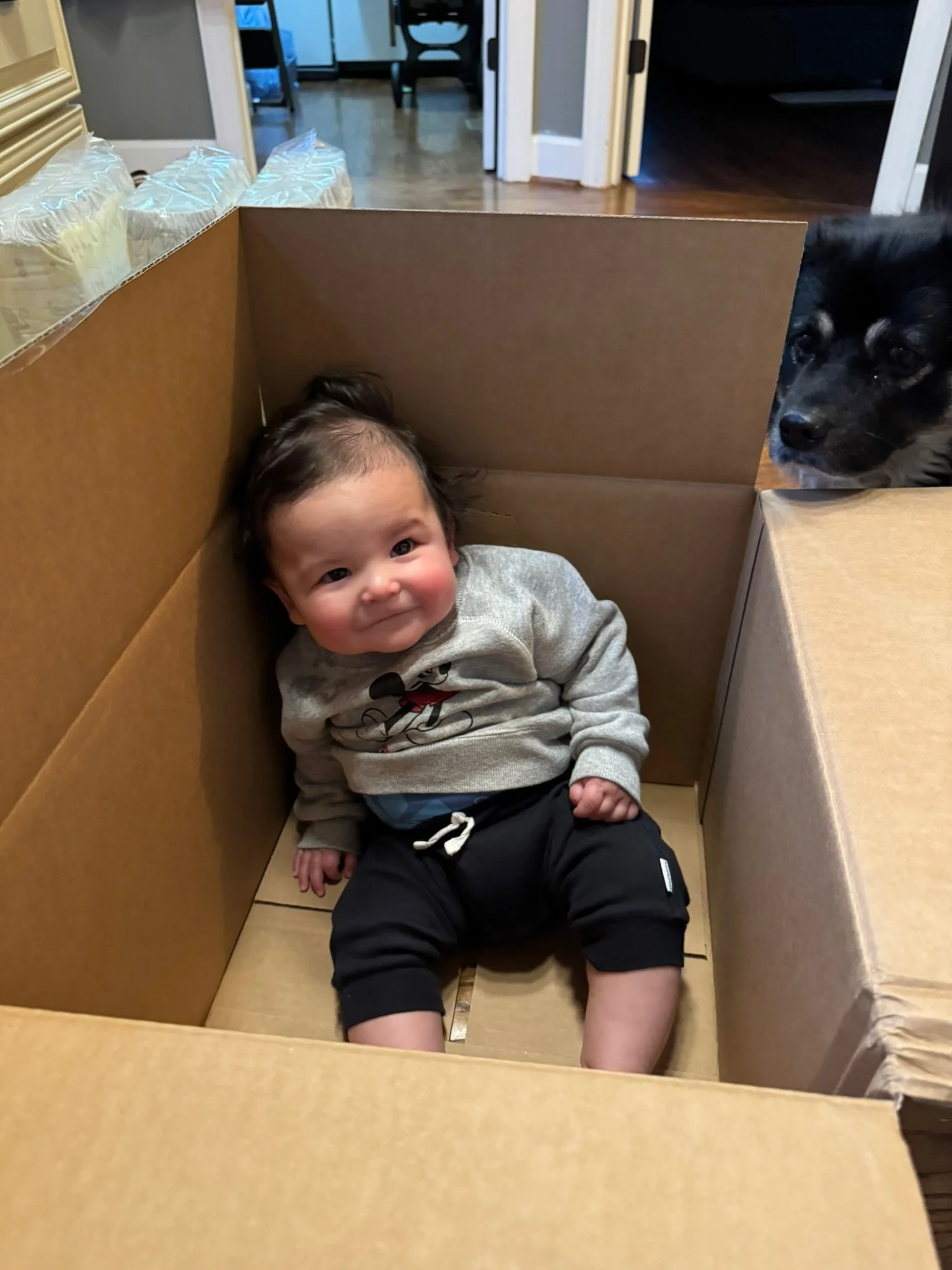 Kanoa in a box and Koda observing