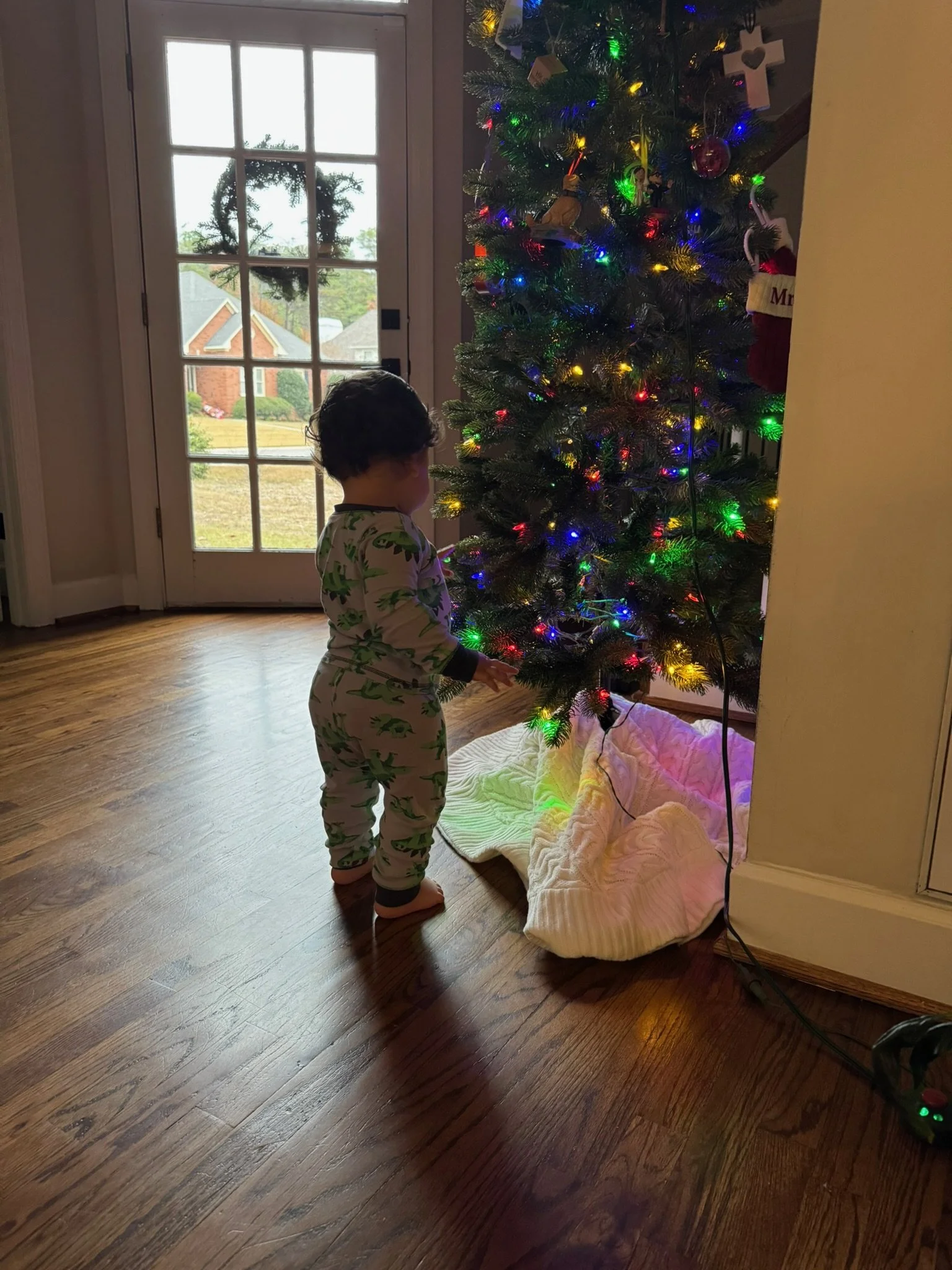 It's beginning to look a lot like Christmas