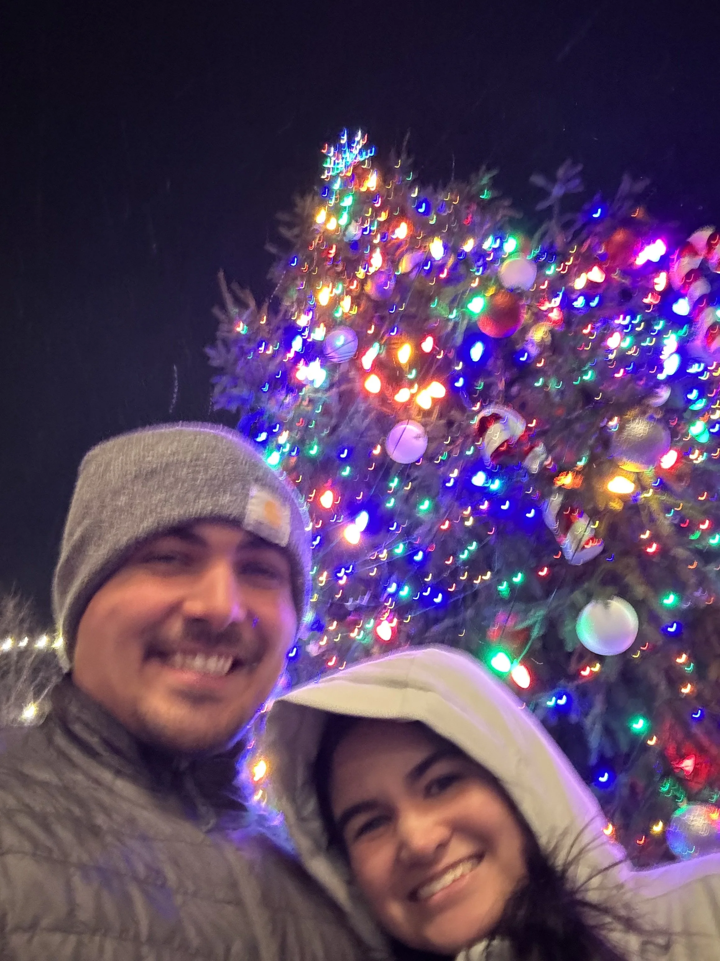 Cold Christmas Tree Pic