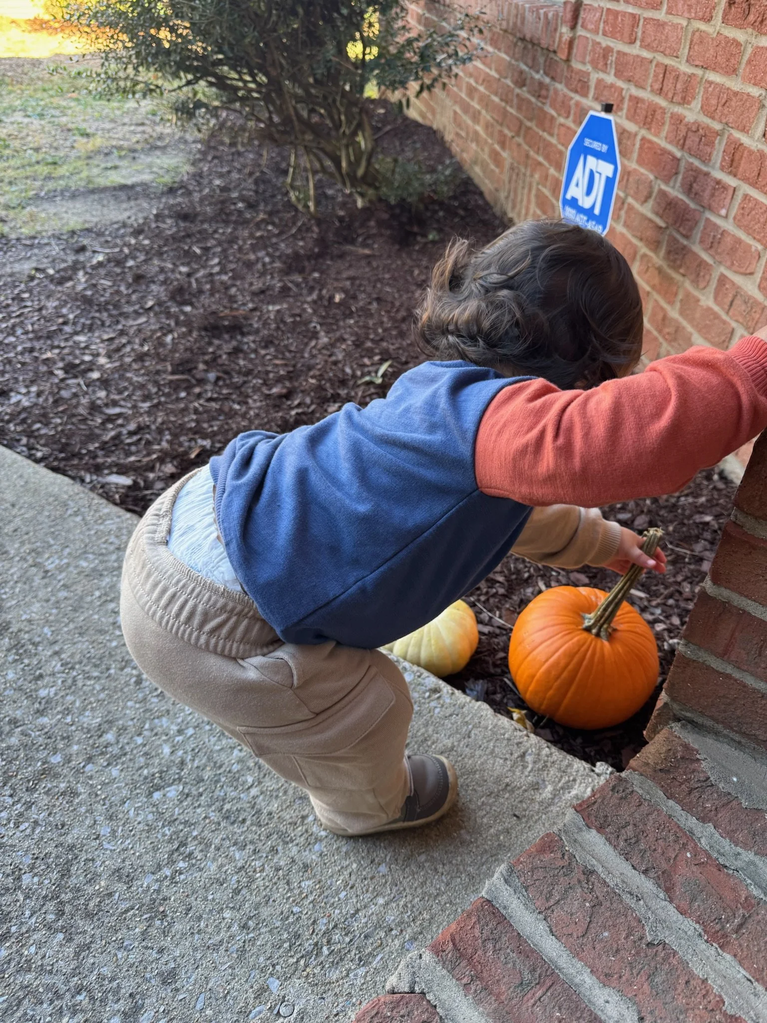 Playing with pumpkins