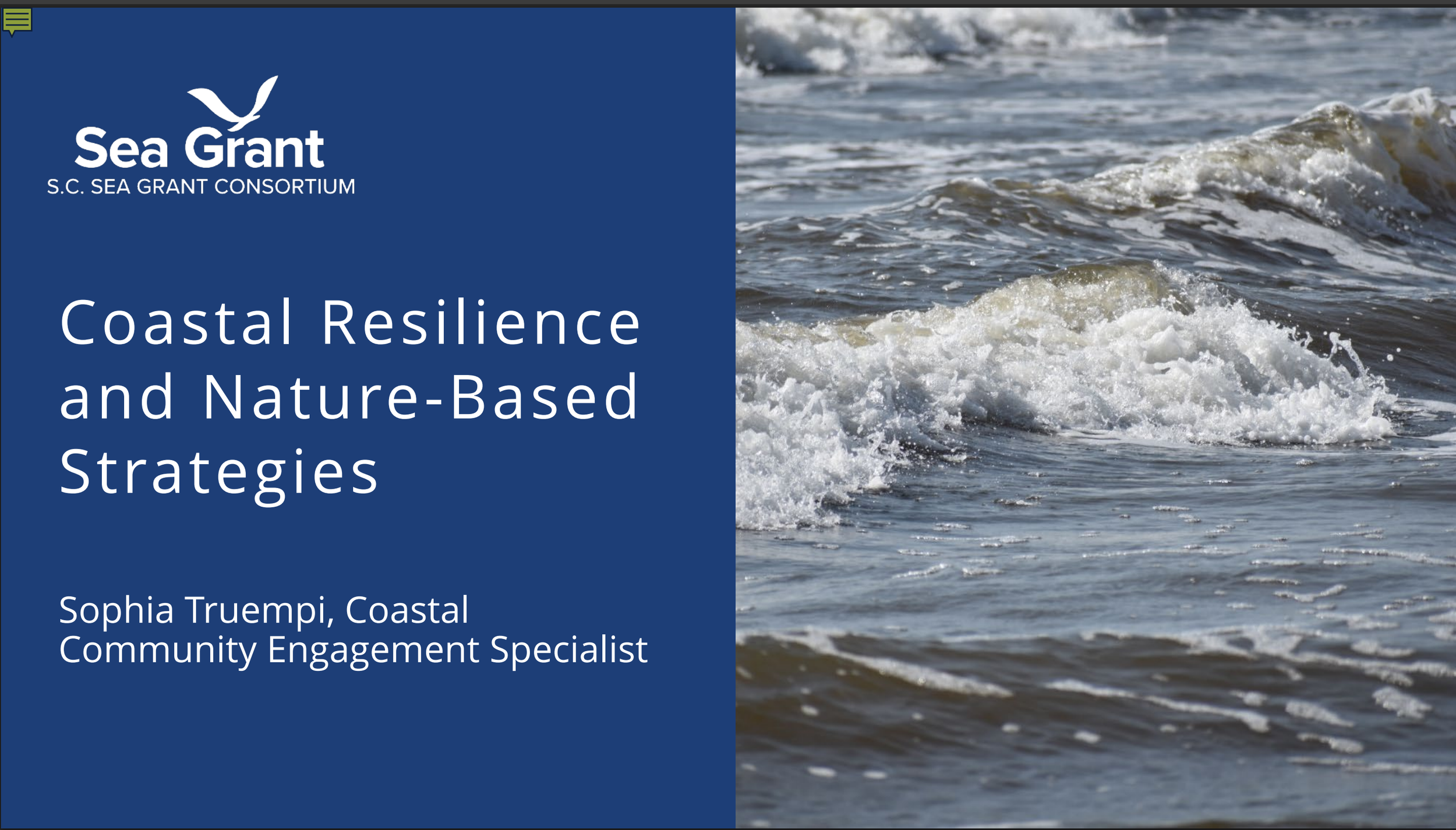 Coastal Resilience & Nature-Based Strategies