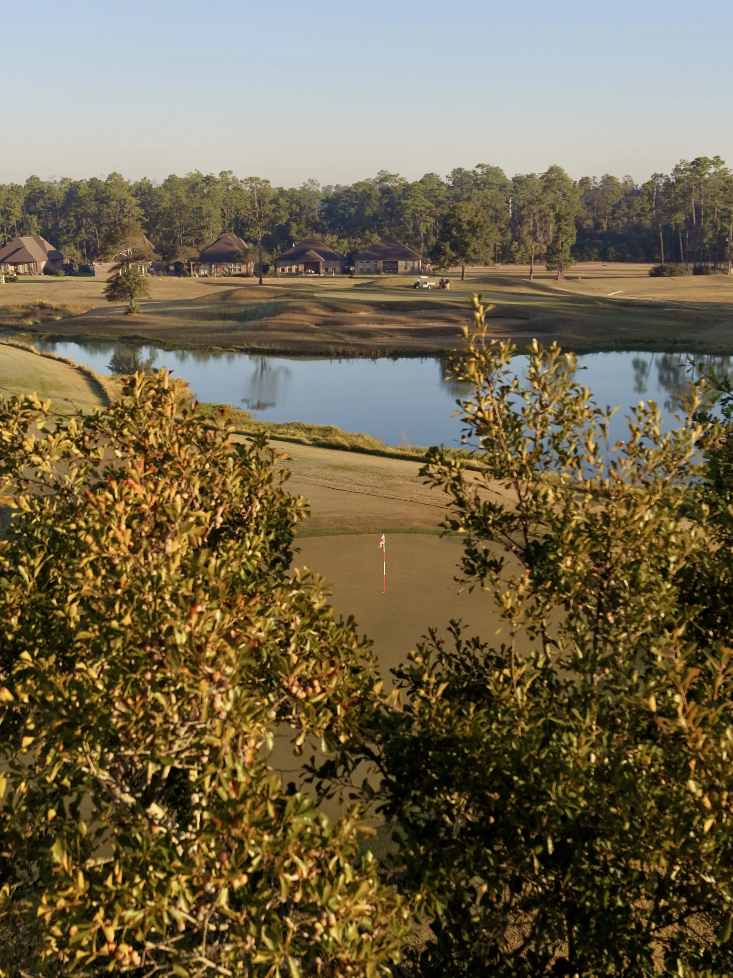 dji_fly_20261024_080548_0336_1792848646021_photo.jpeg