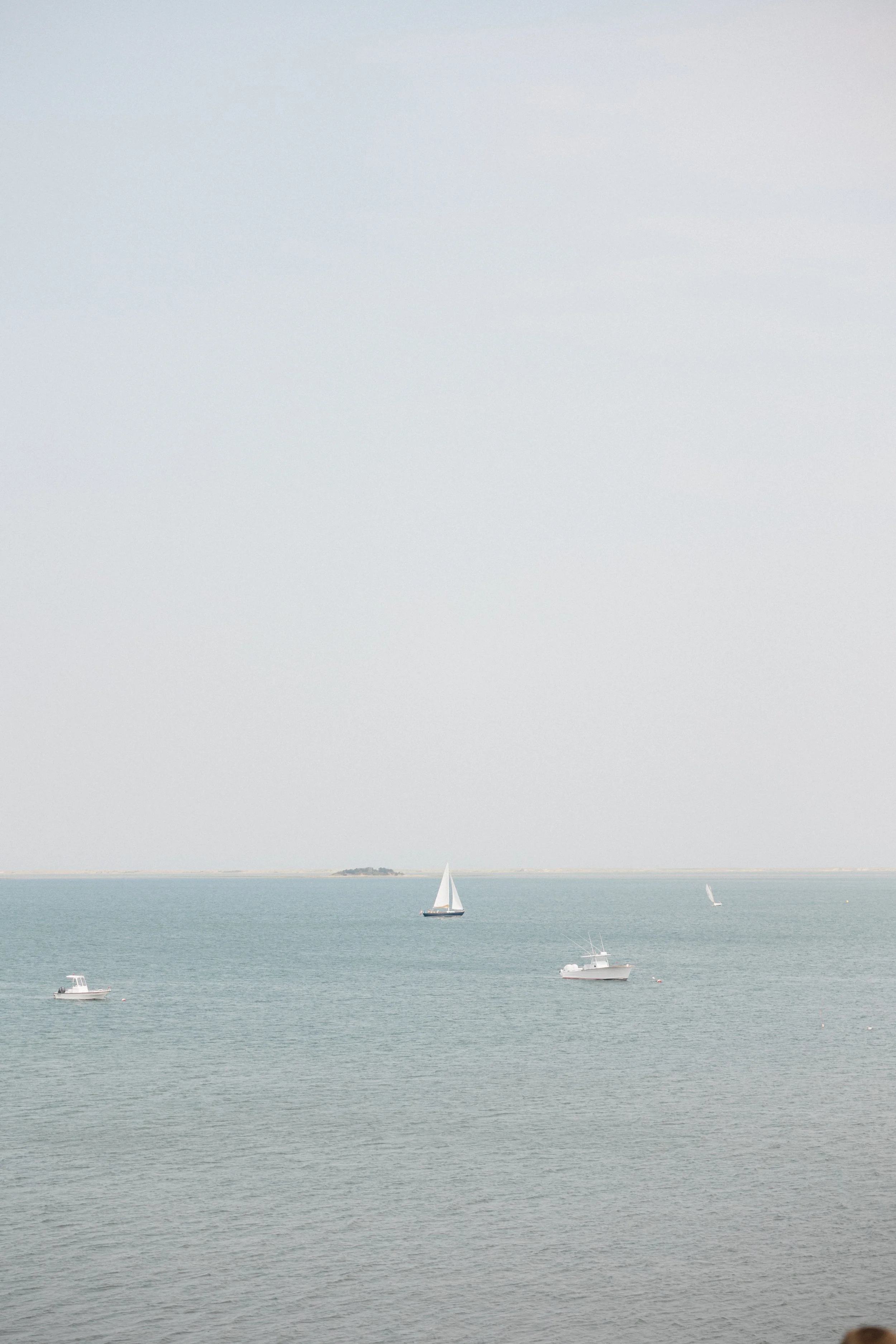 img-98.jpg