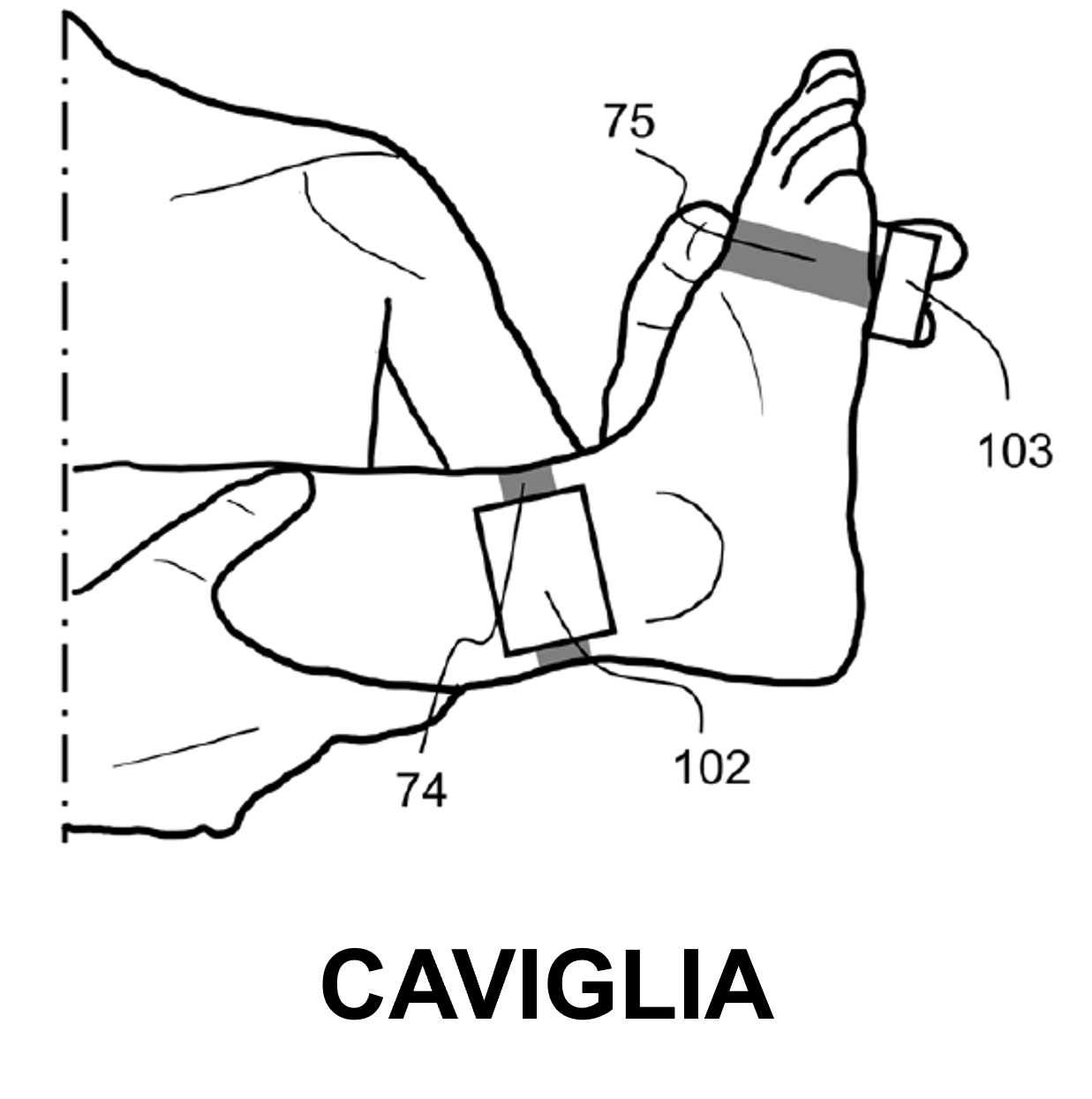 caviglia.png